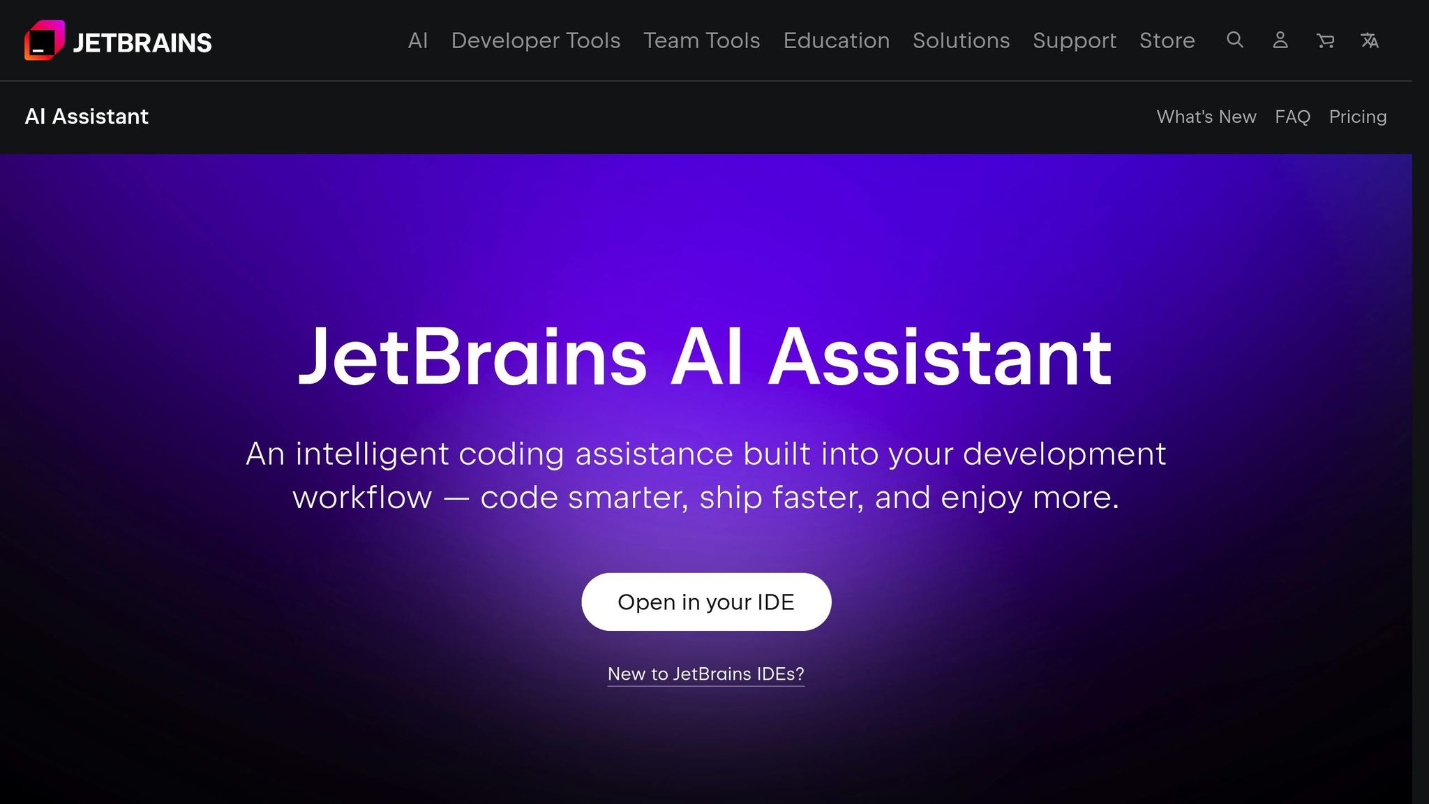 JetBrains AI Assistant
