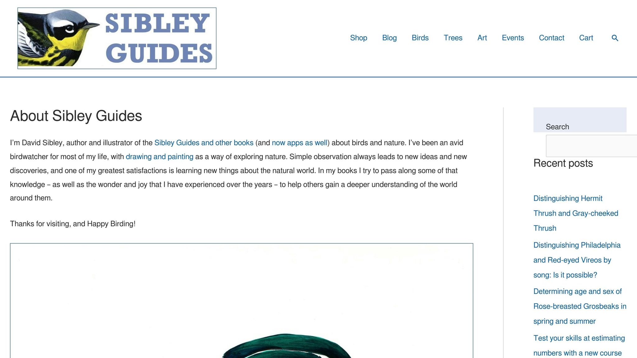 Sibley Field Guide to Birds of North America
