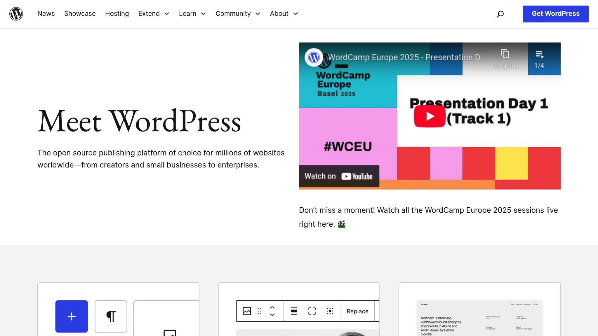 WordPress