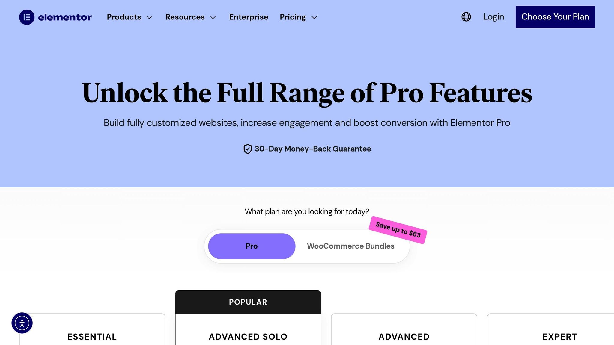 Elementor Pro