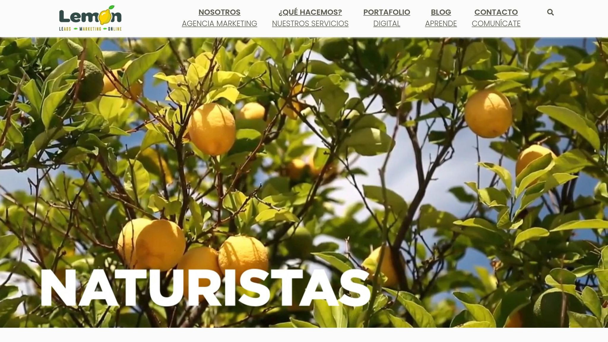 Lemon Digital