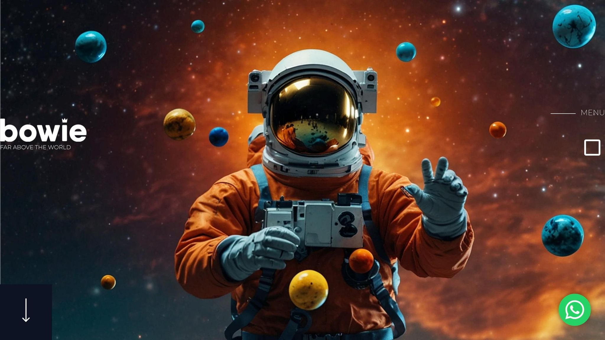 Bowie - Agência de Marketing