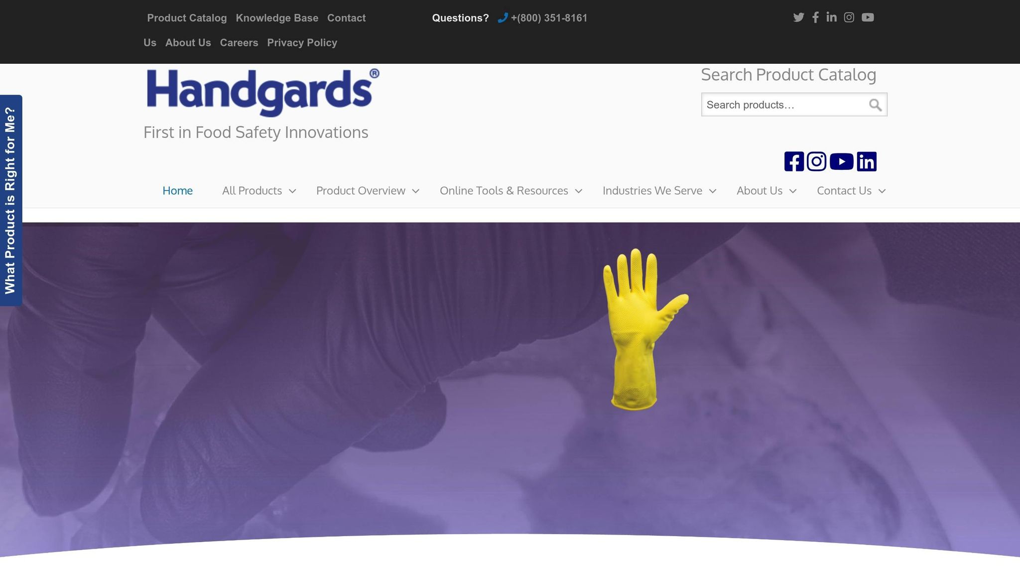 Handgards