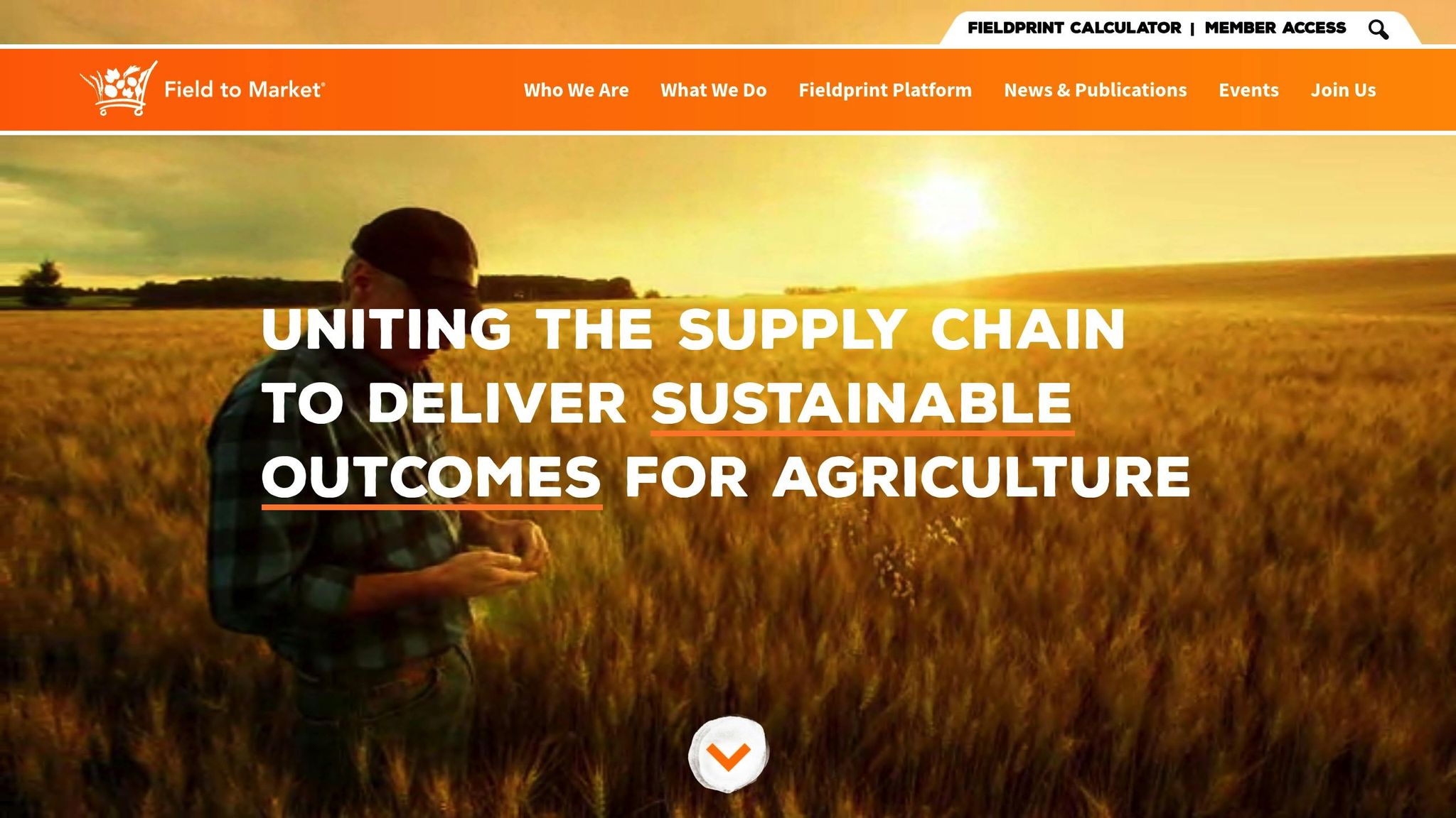 Field to Market