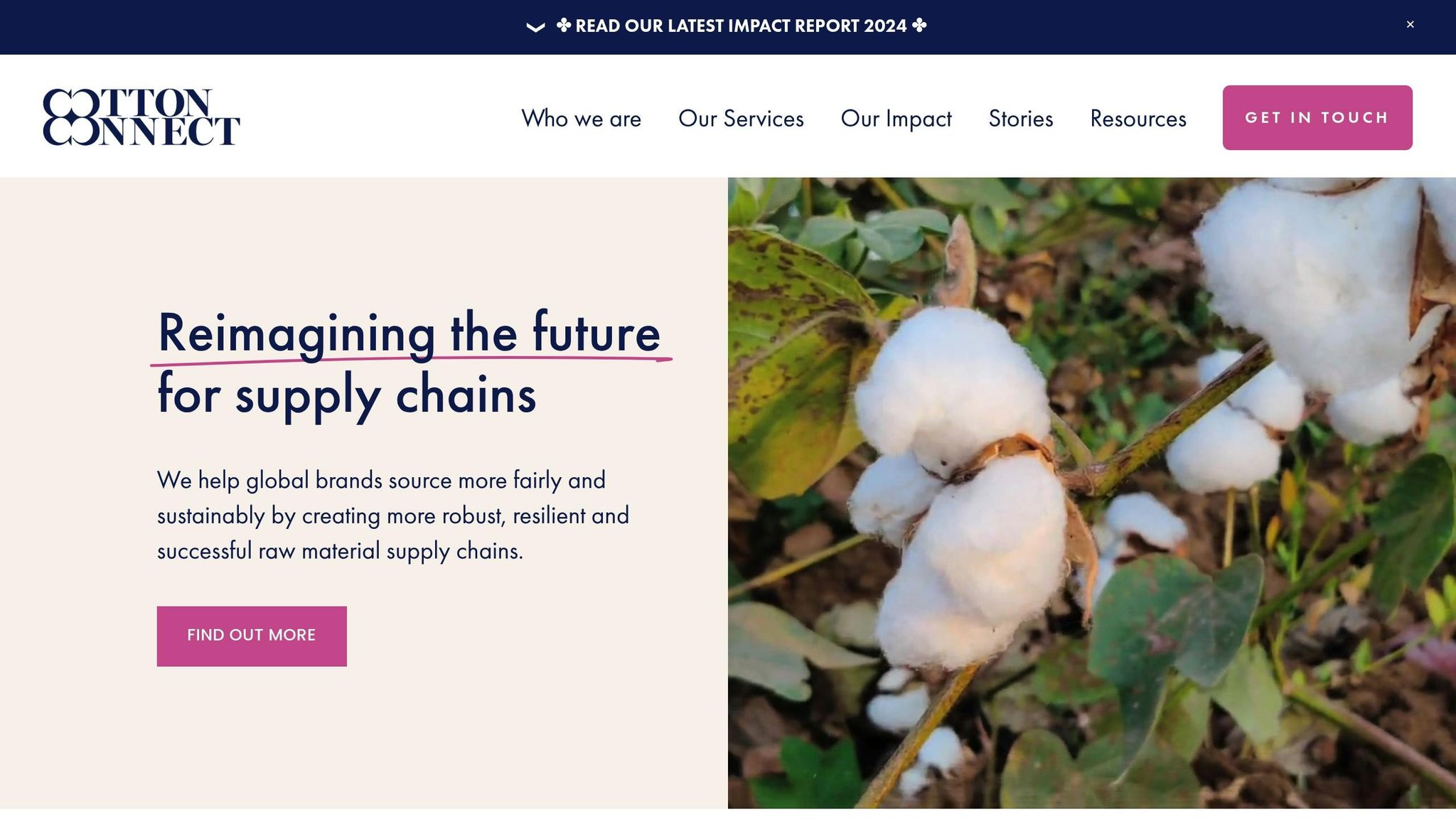CottonConnect
