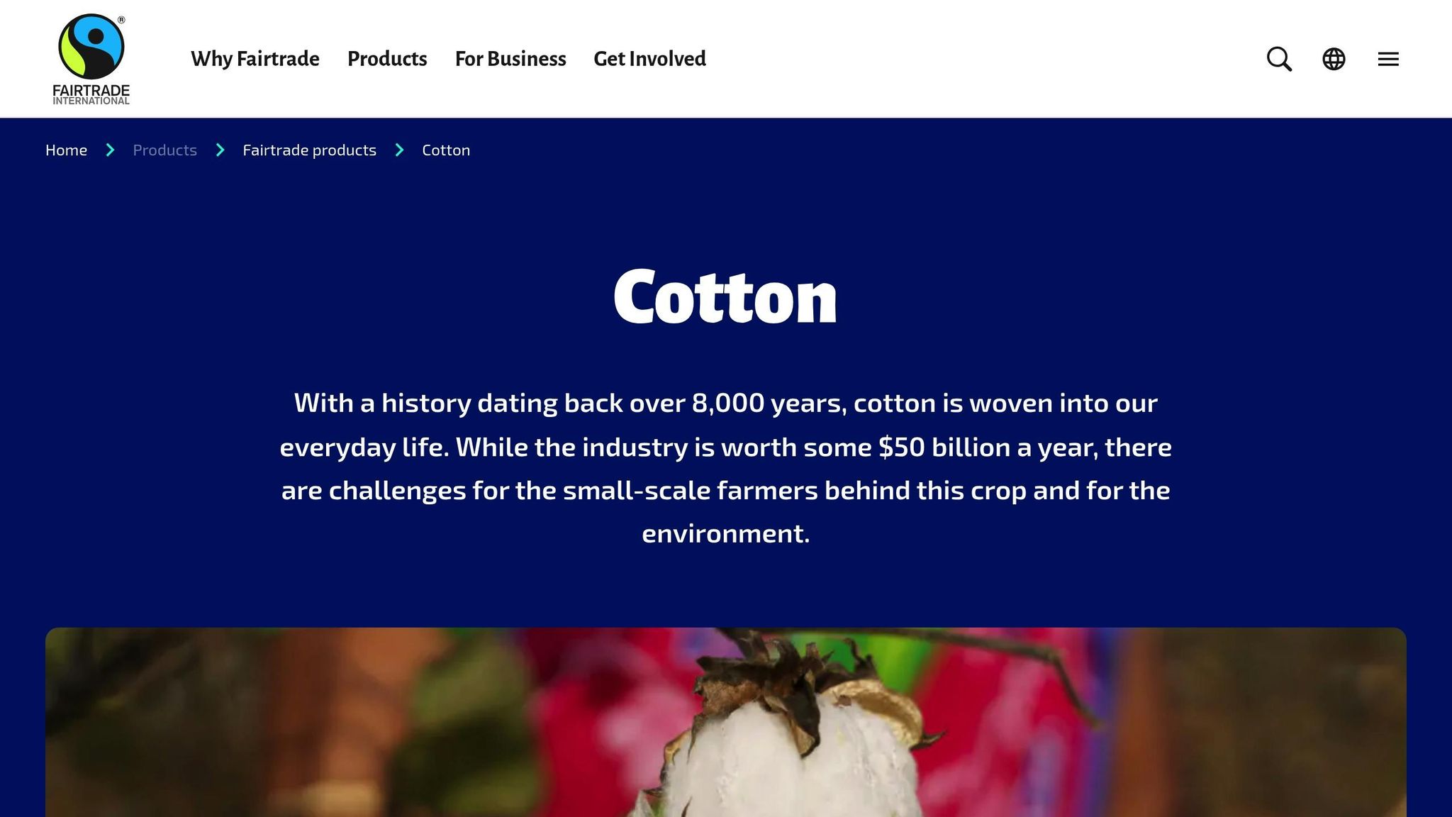 Fairtrade Cotton