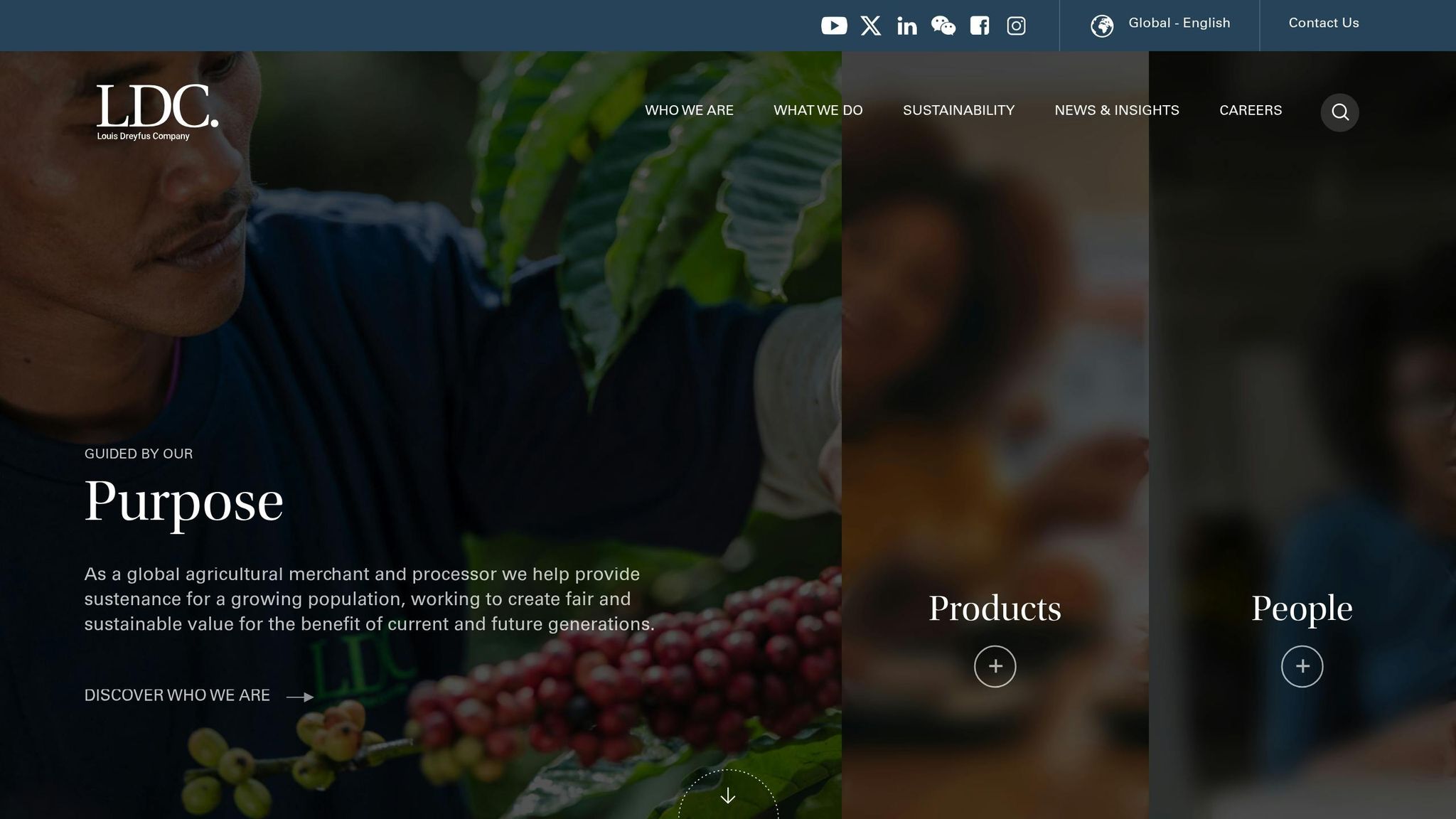 Louis Dreyfus Company