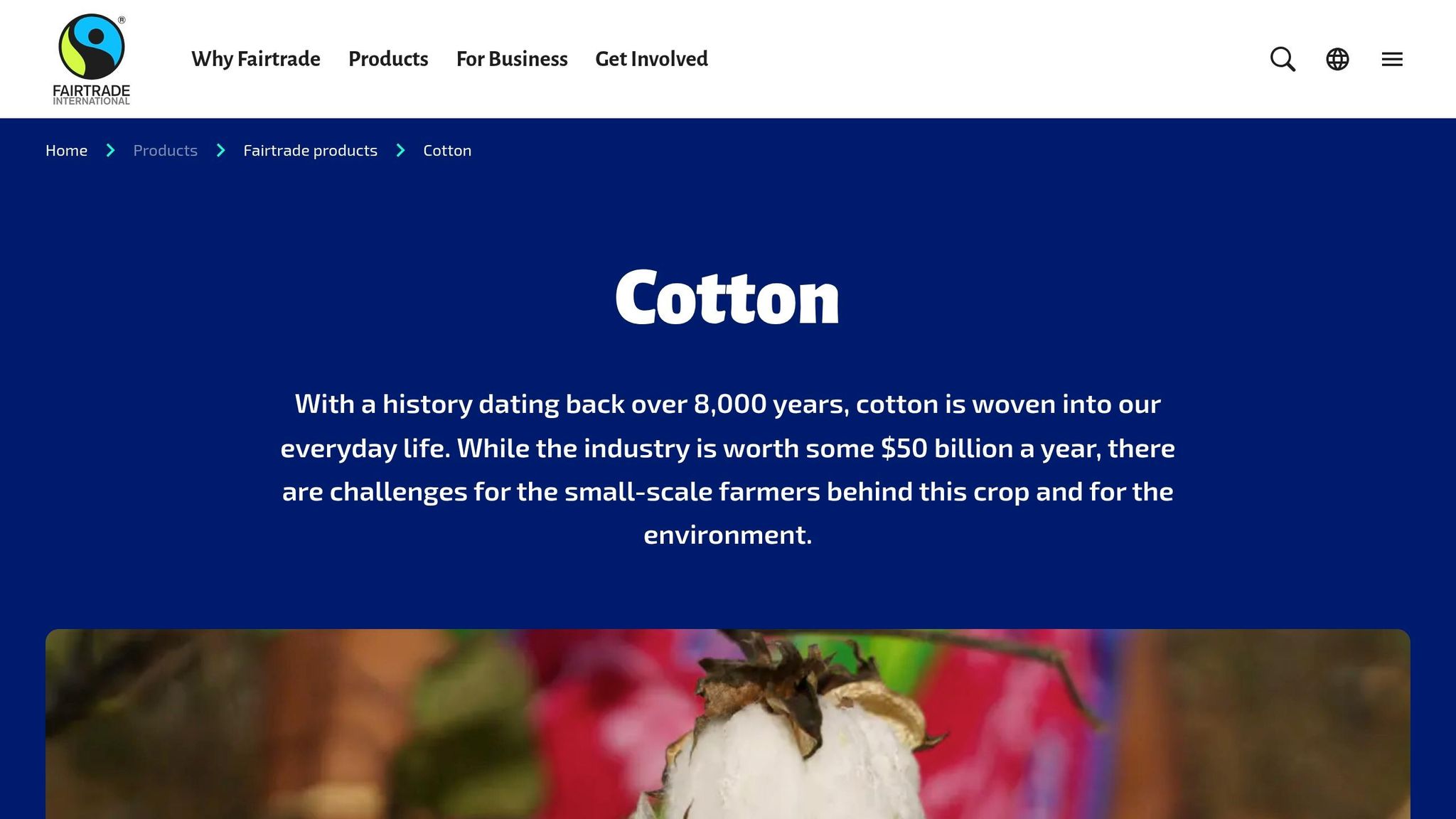 Fair Trade Cotton