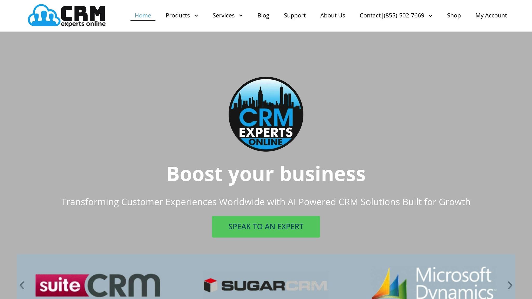 CRM Experts Online