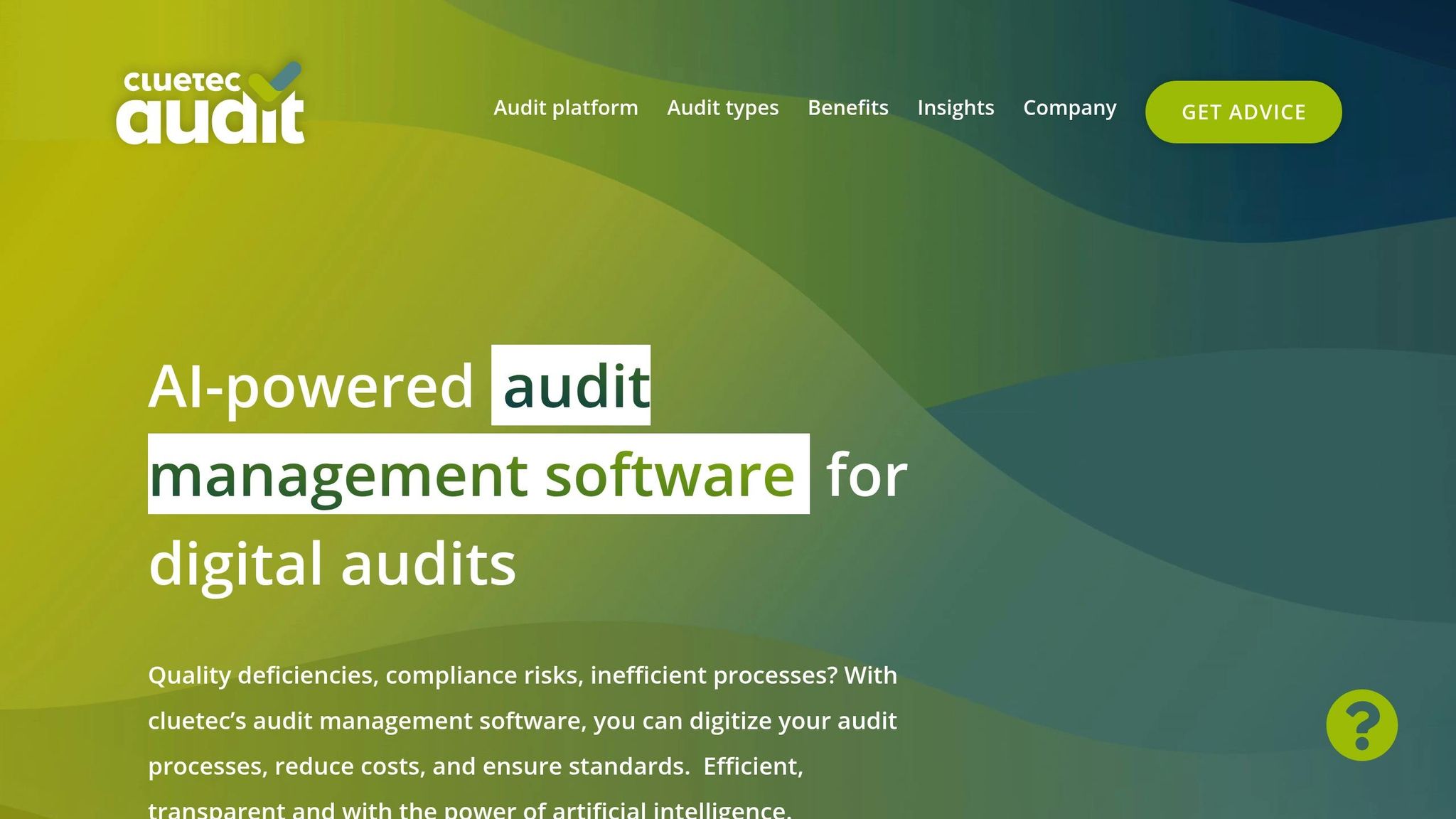 cluetec Audit-Software