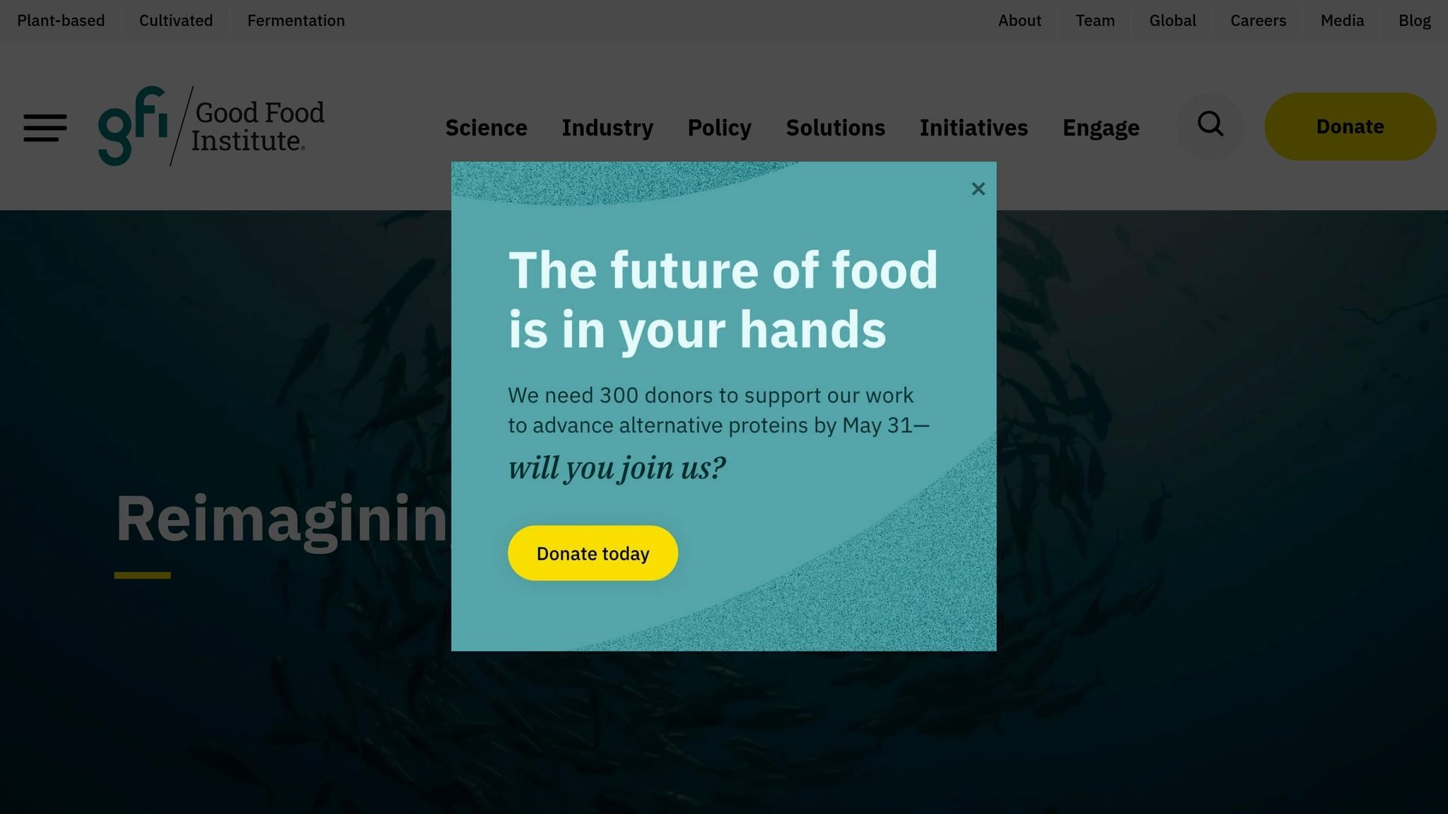 The Good Food Institute