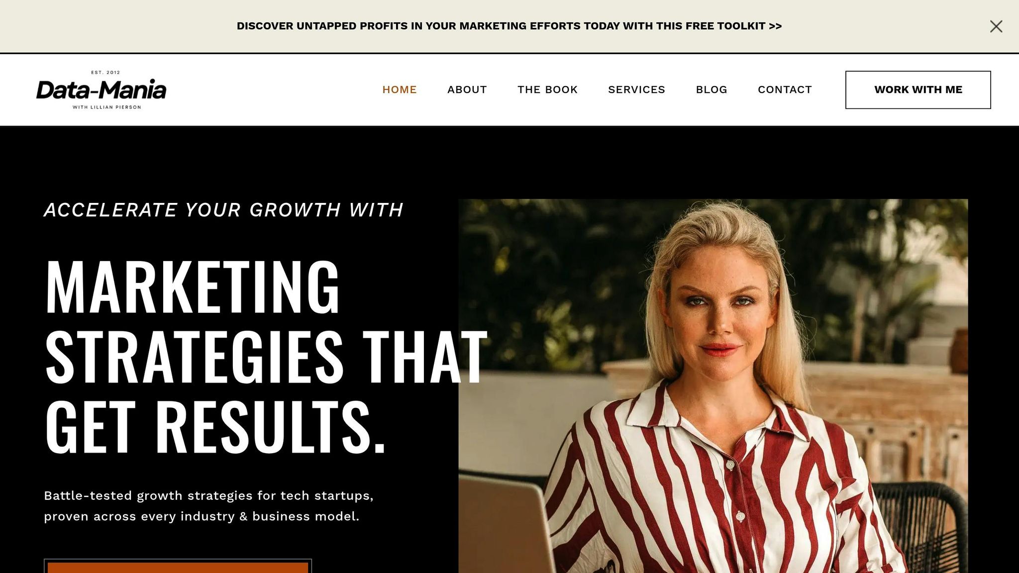 Data-Mania: Fractional CMO Services for PLG