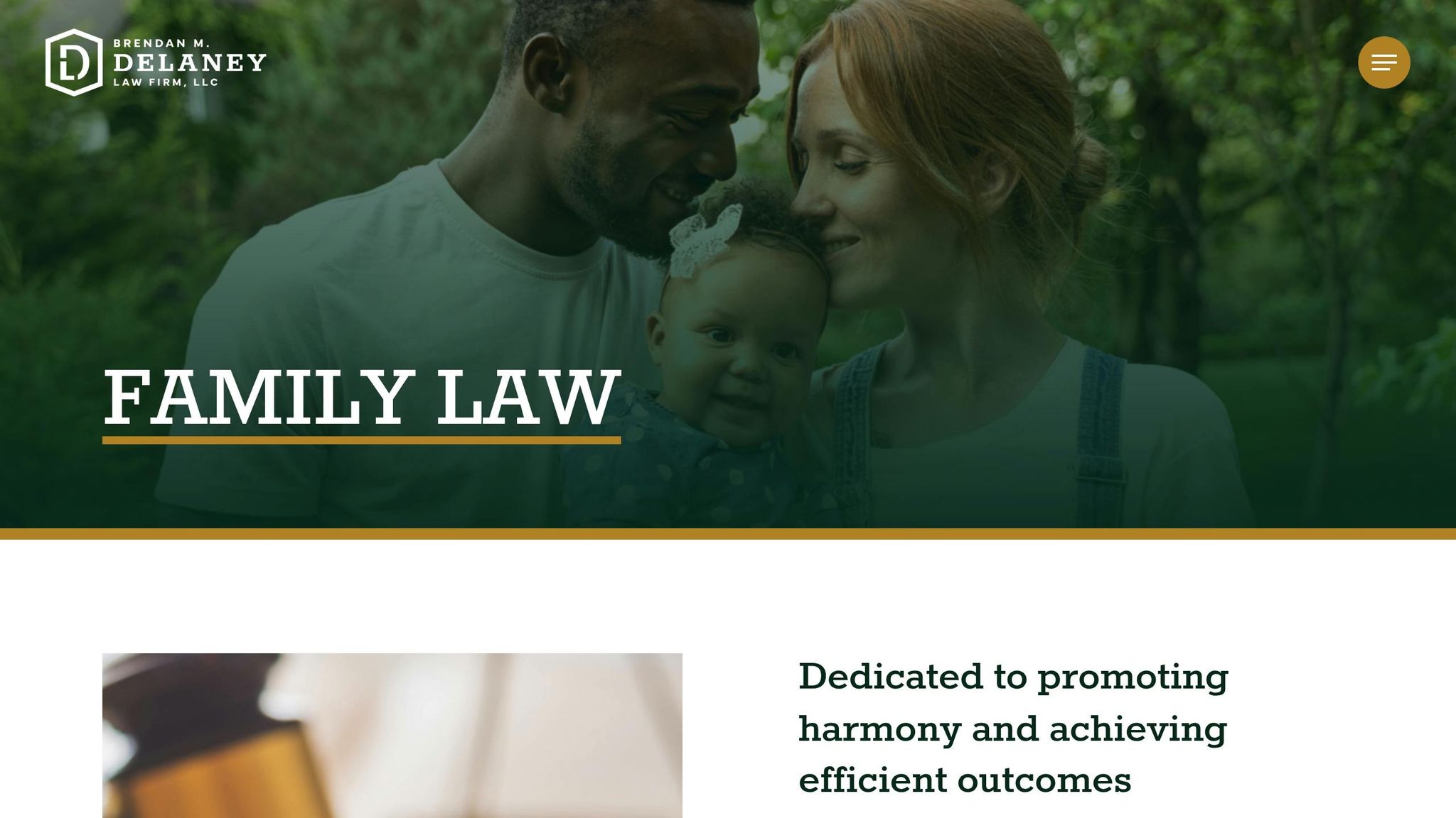 Brendan M. Delaney Law Firm LLC