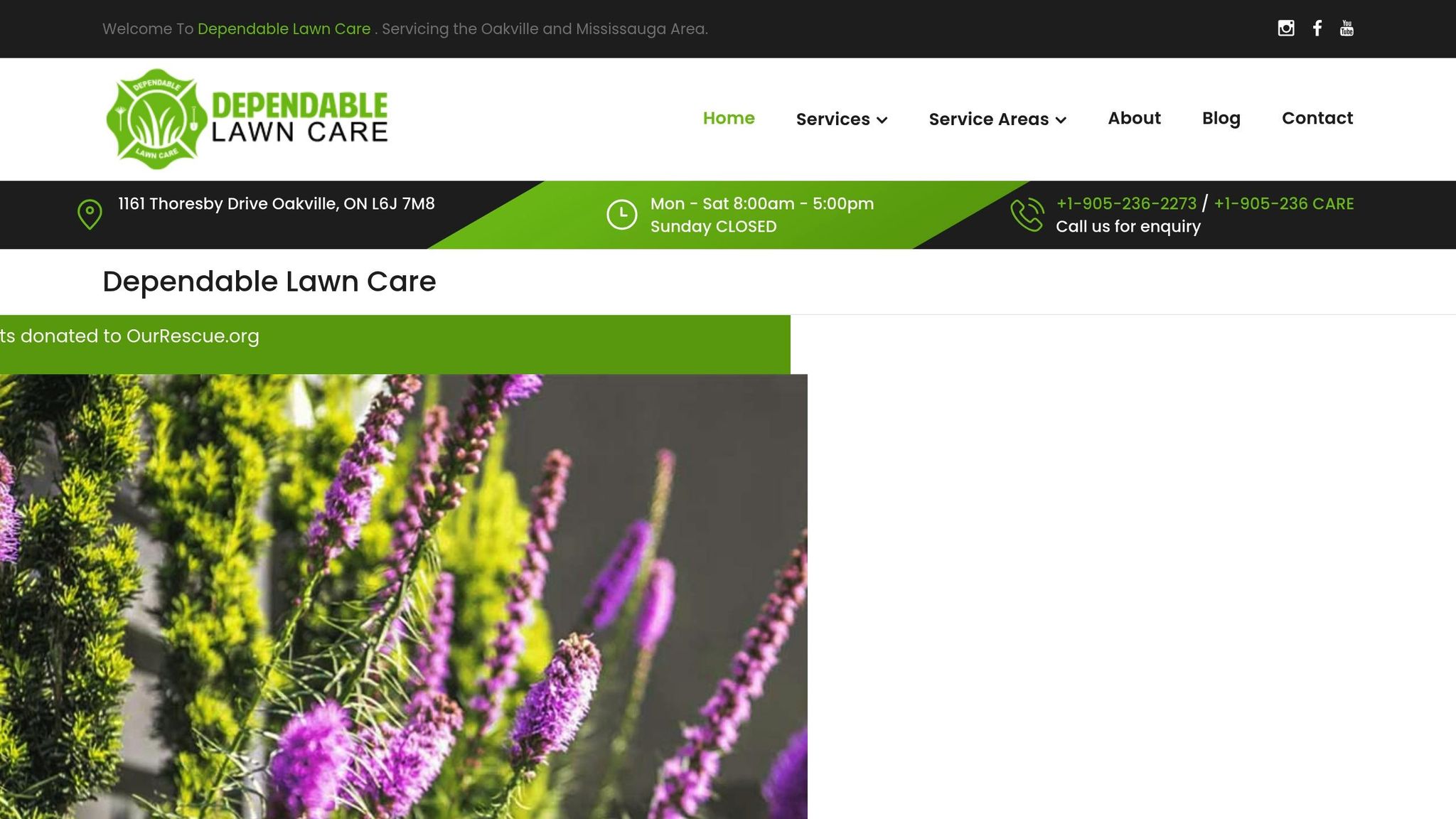 Dependable Lawn Care