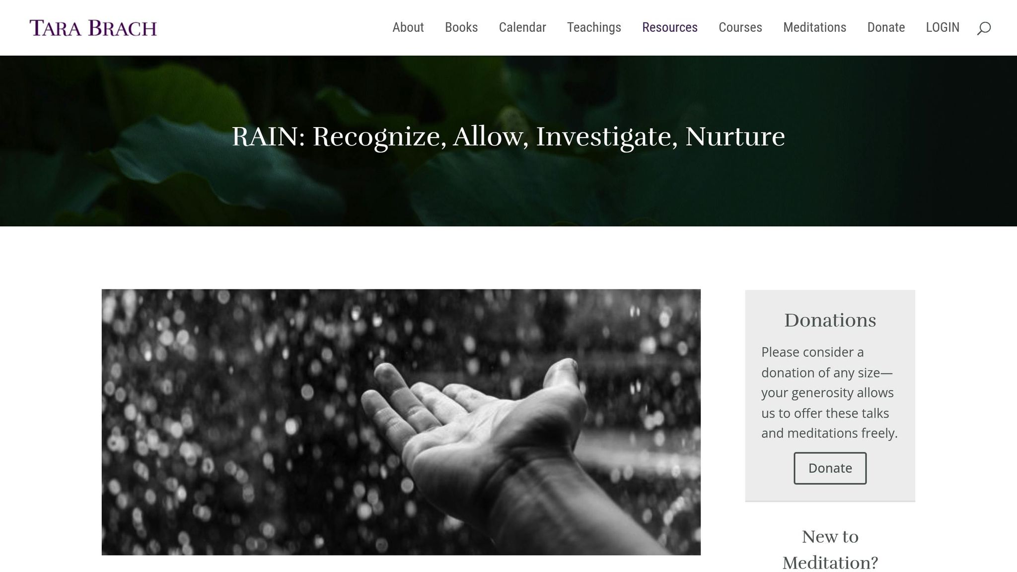 RAIN