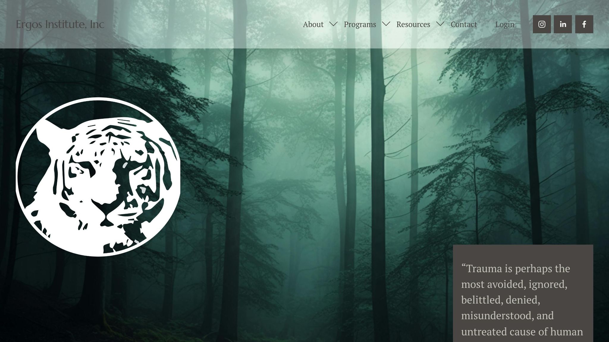 Somatic Experiencing