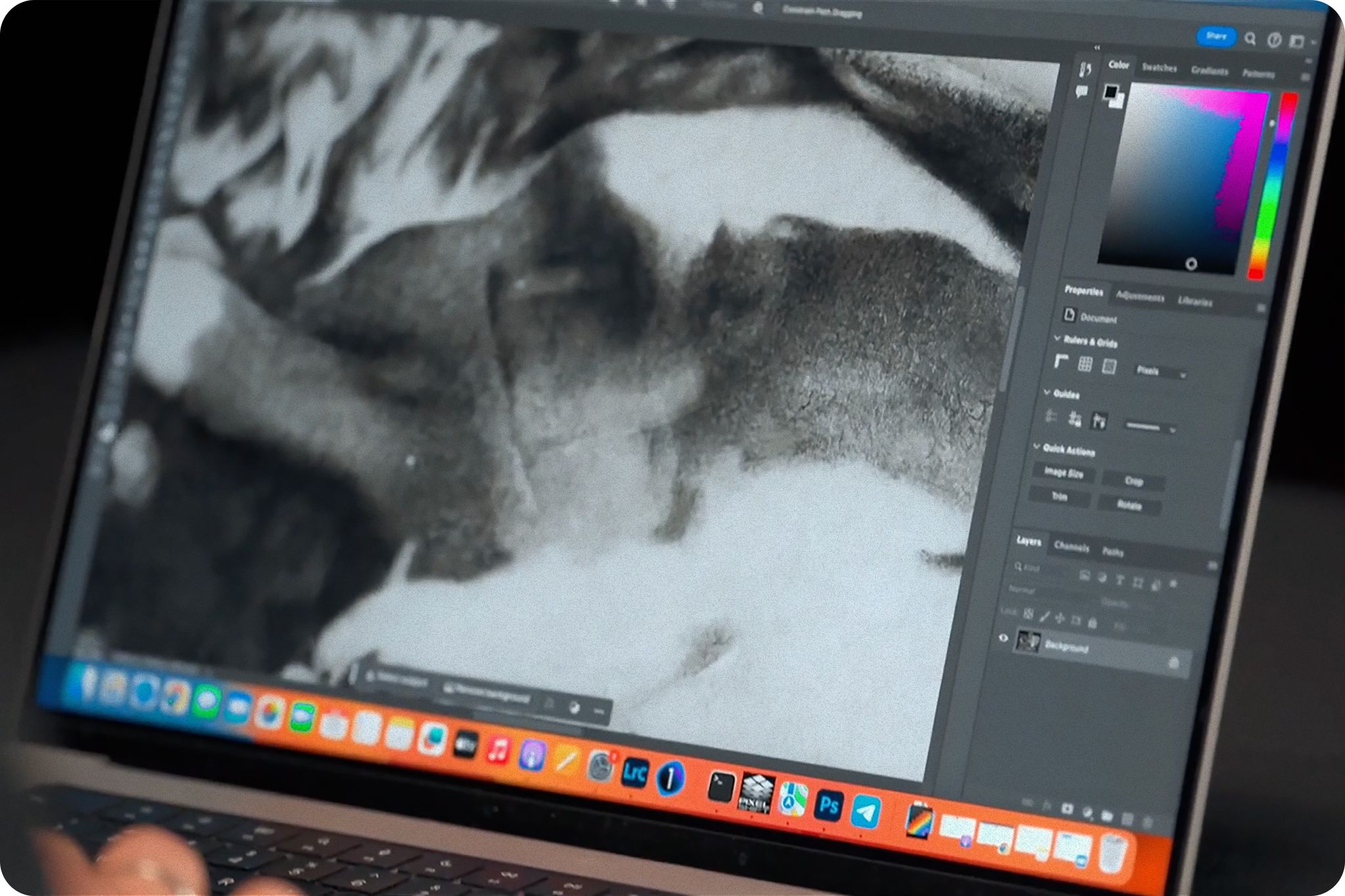 Best Digital Art Tools for Photographers