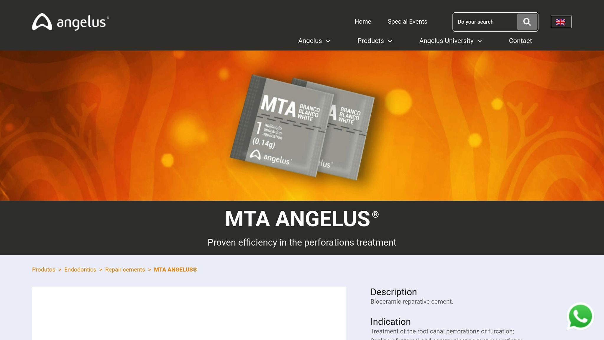 MTA Angelus