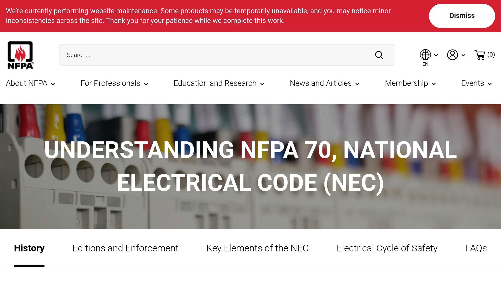 NEC