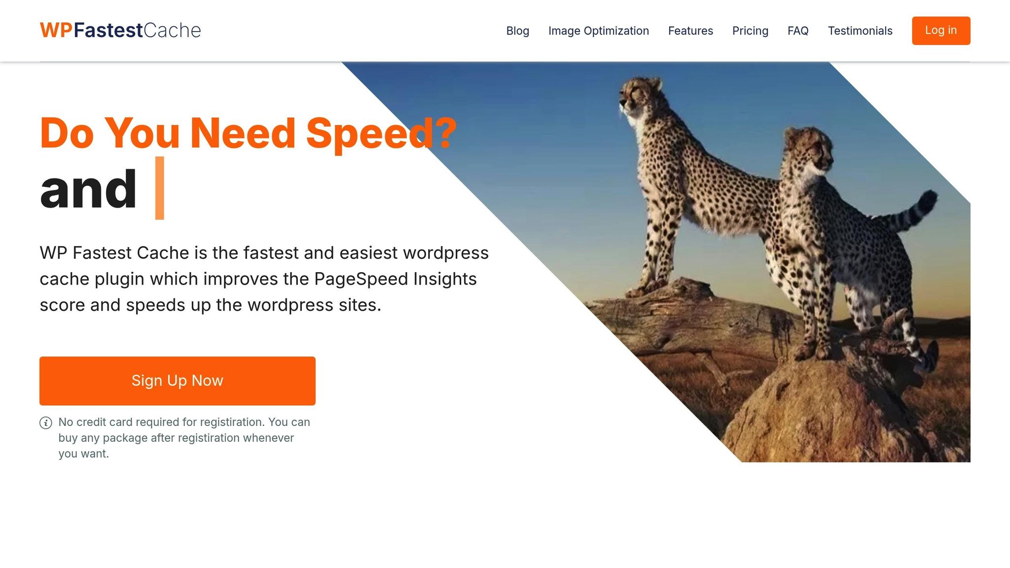 WP Fastest Cache
