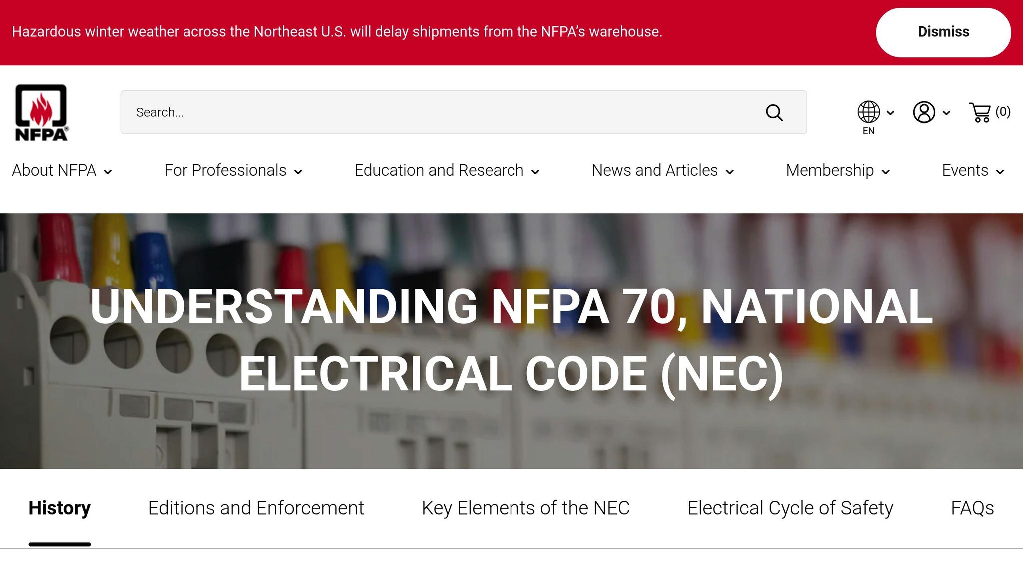 NEC