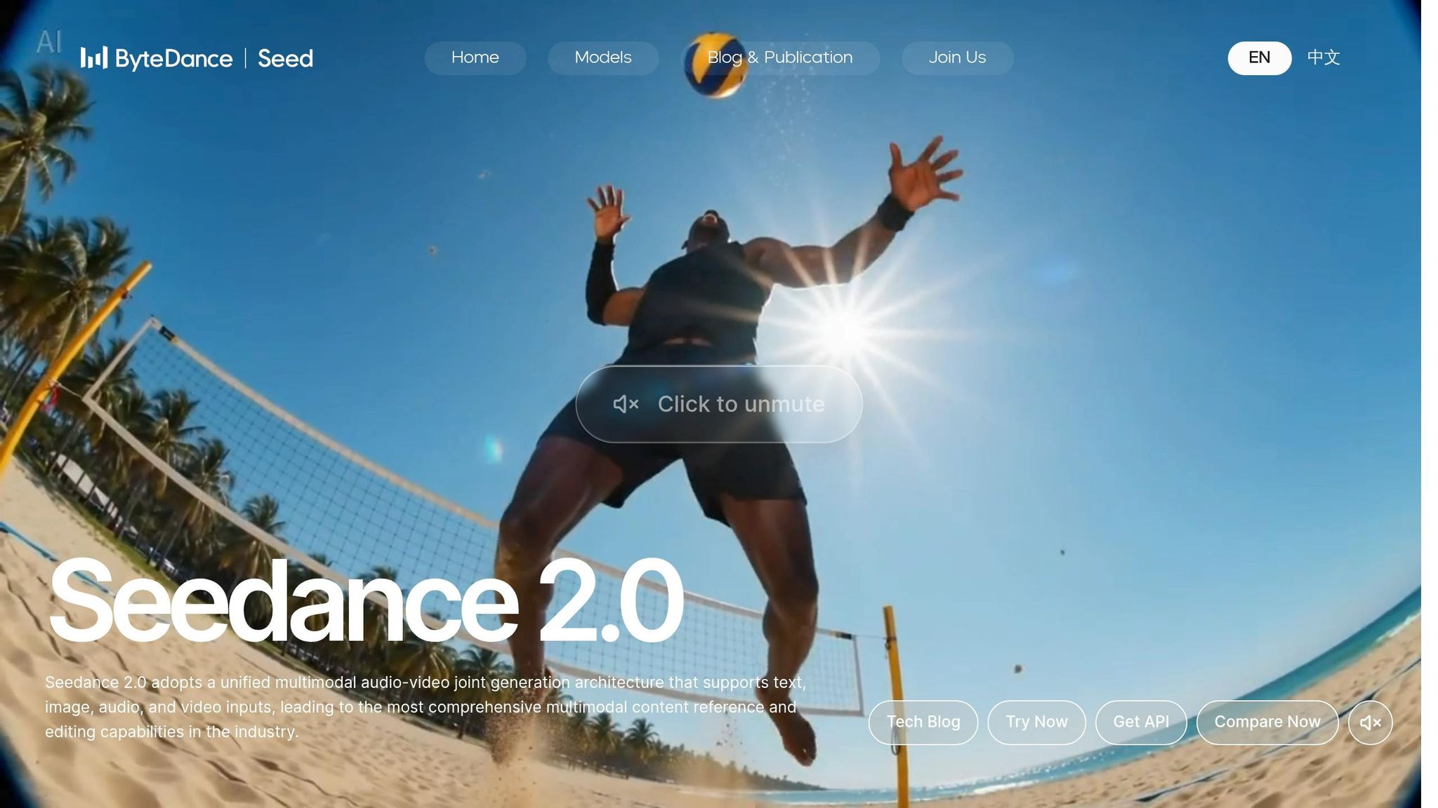 Seedance 2.0