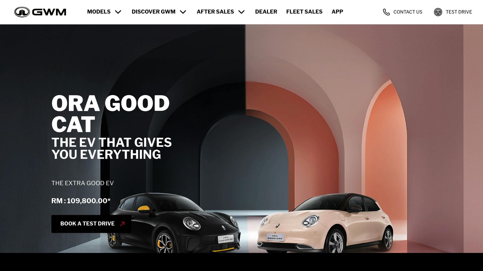 GWM Ora Good Cat