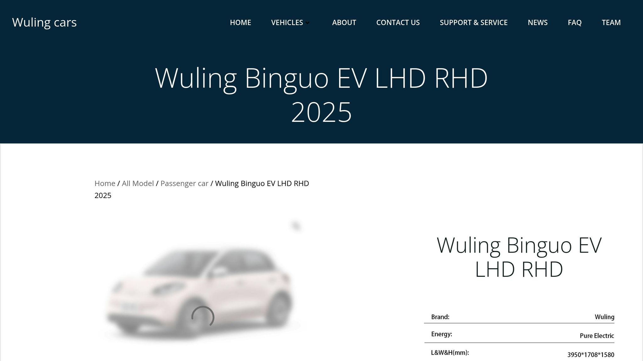 Wuling Bingo