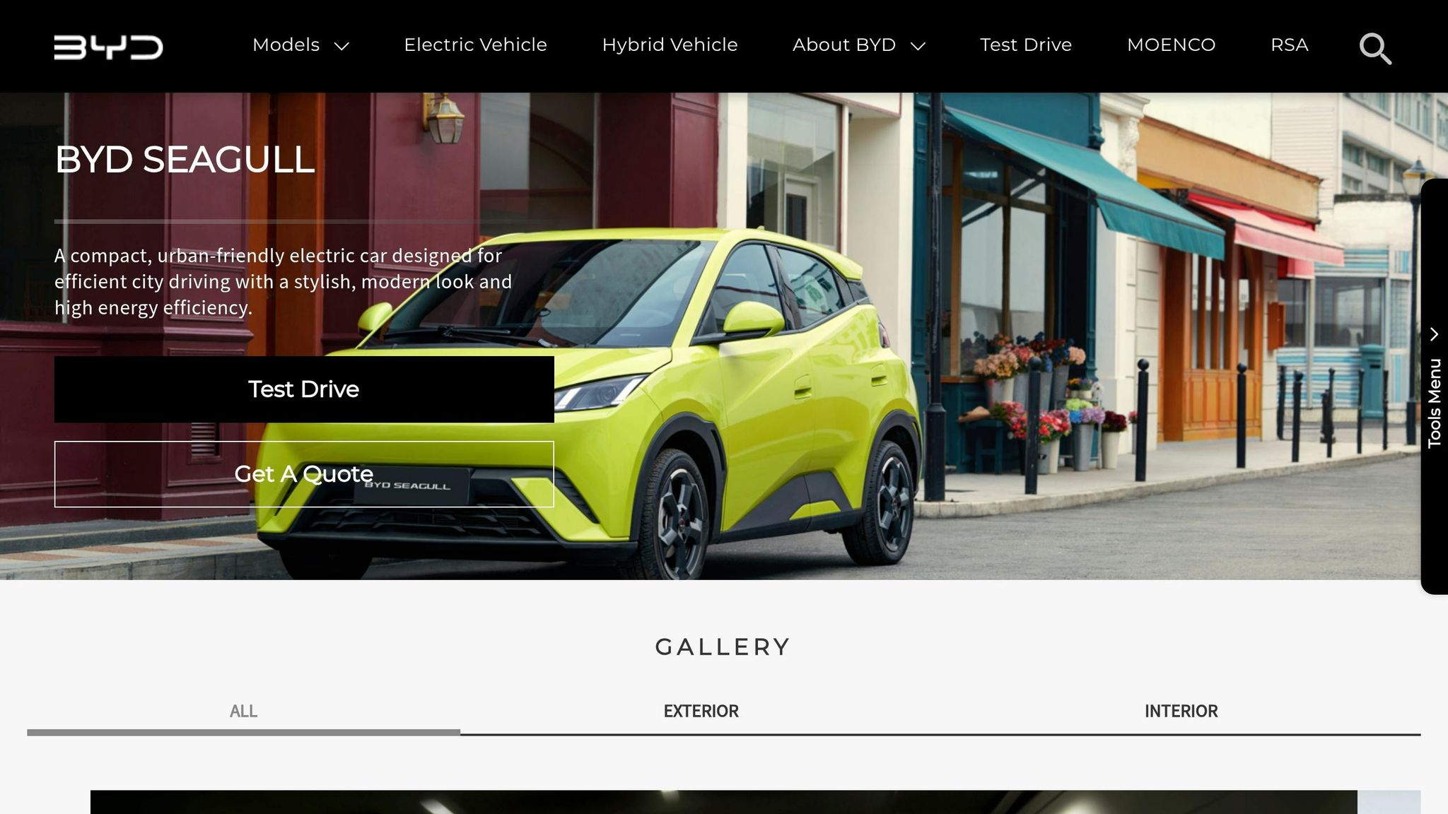 BYD Seagull