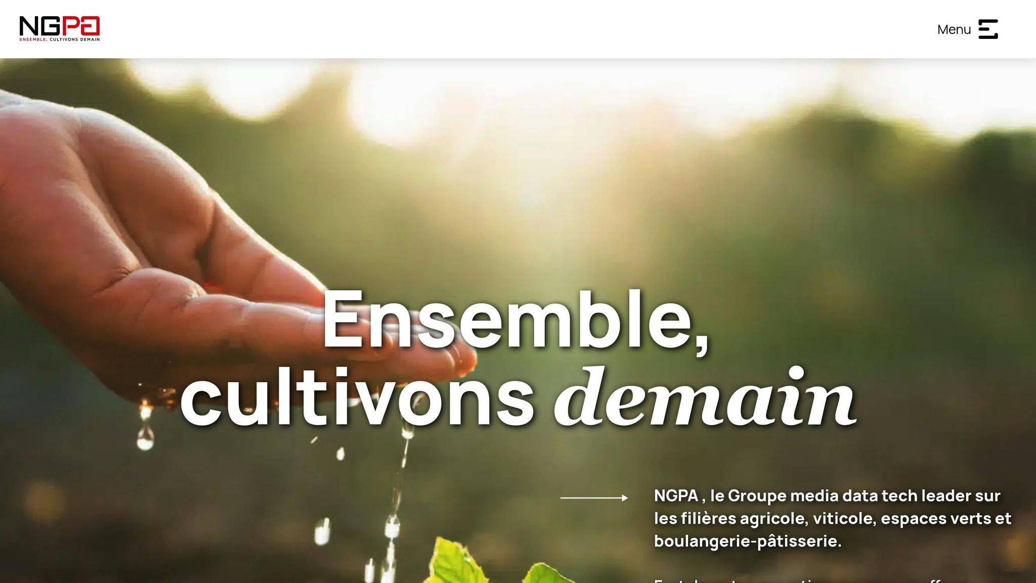 Groupe NGPA