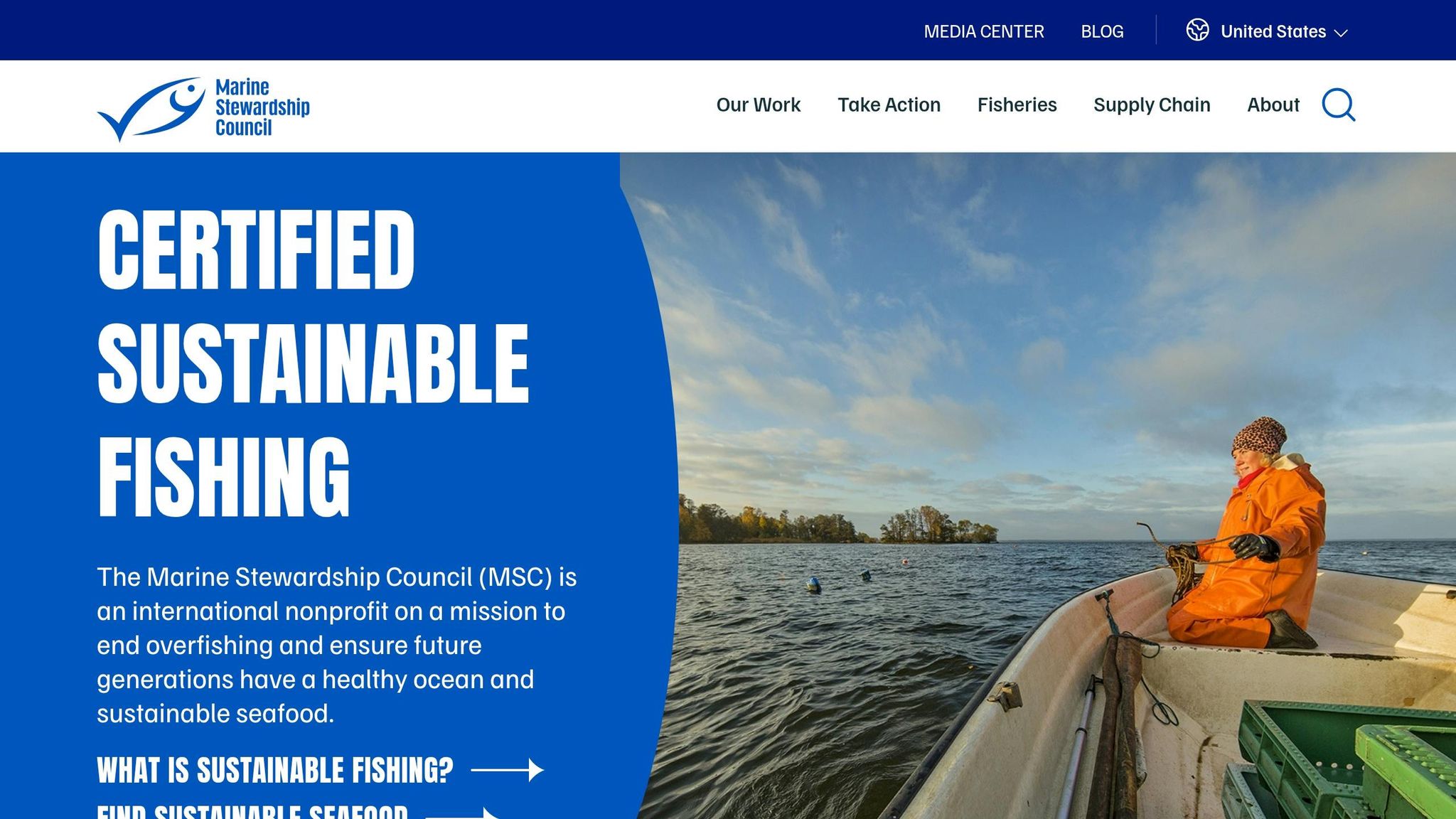 MSC