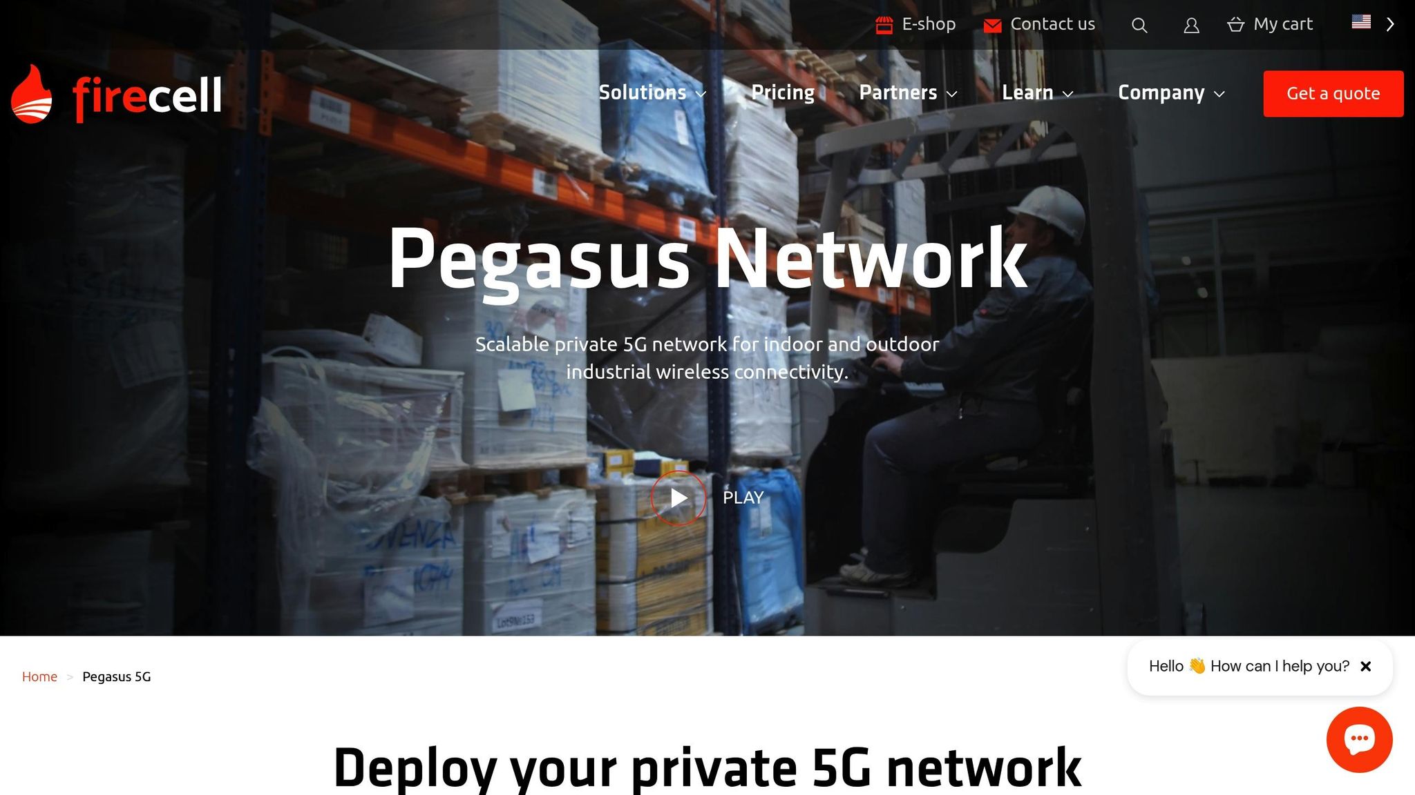 Pegasus Network