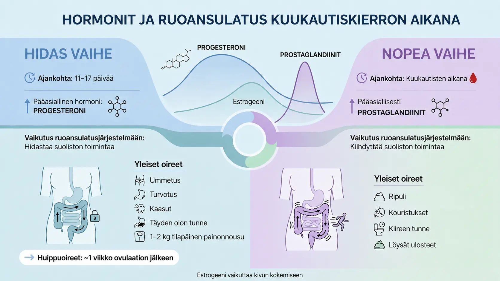 Kuukautiskierron vaikutus vatsan toimintaan: hormonitasojen vaihtelut ja vatsaoireet eri vaiheissa