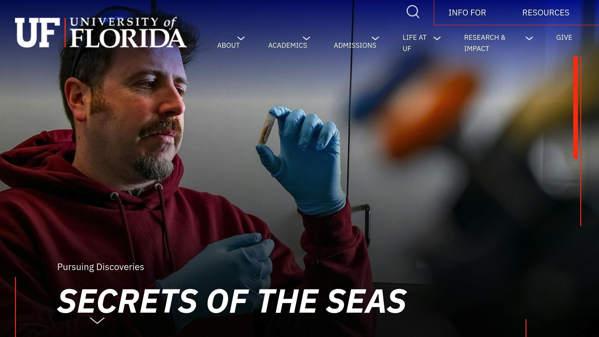 University of Florida
