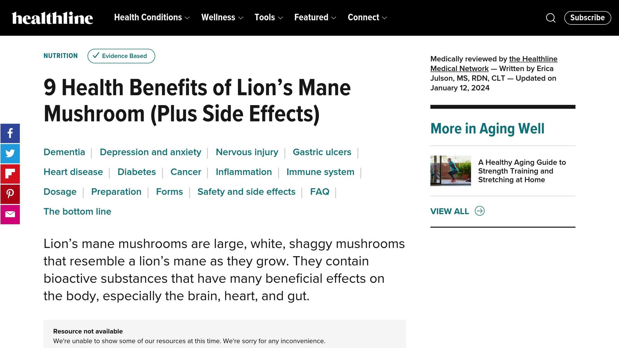 Lion's Mane Mushroom