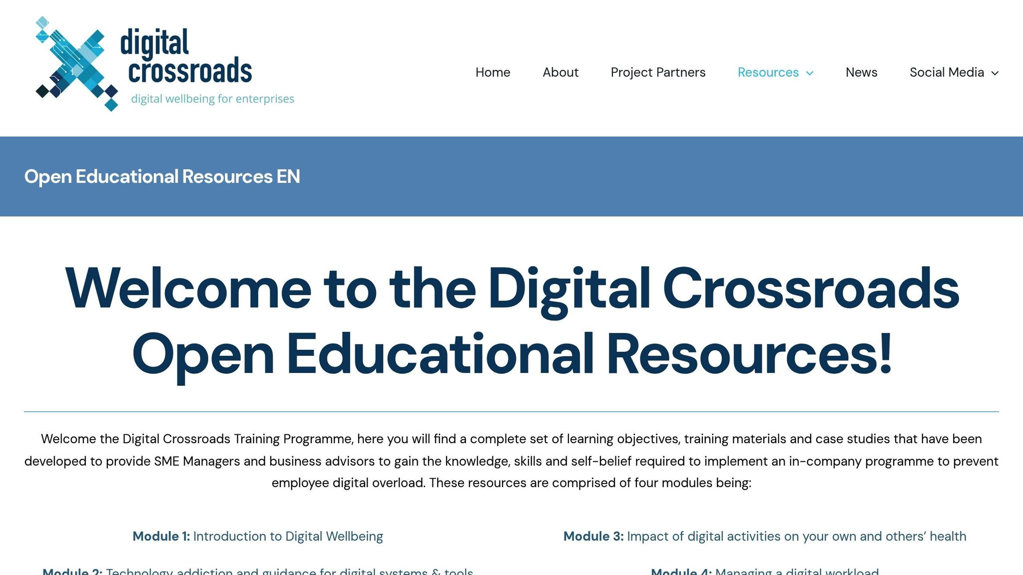 Digital Crossroads Training Programm