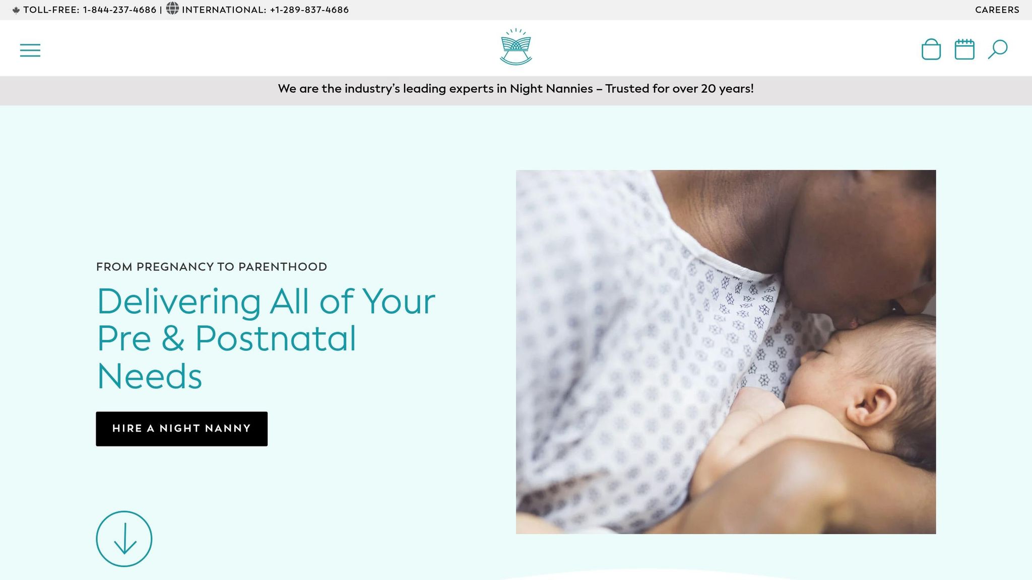 The New Mummy Company