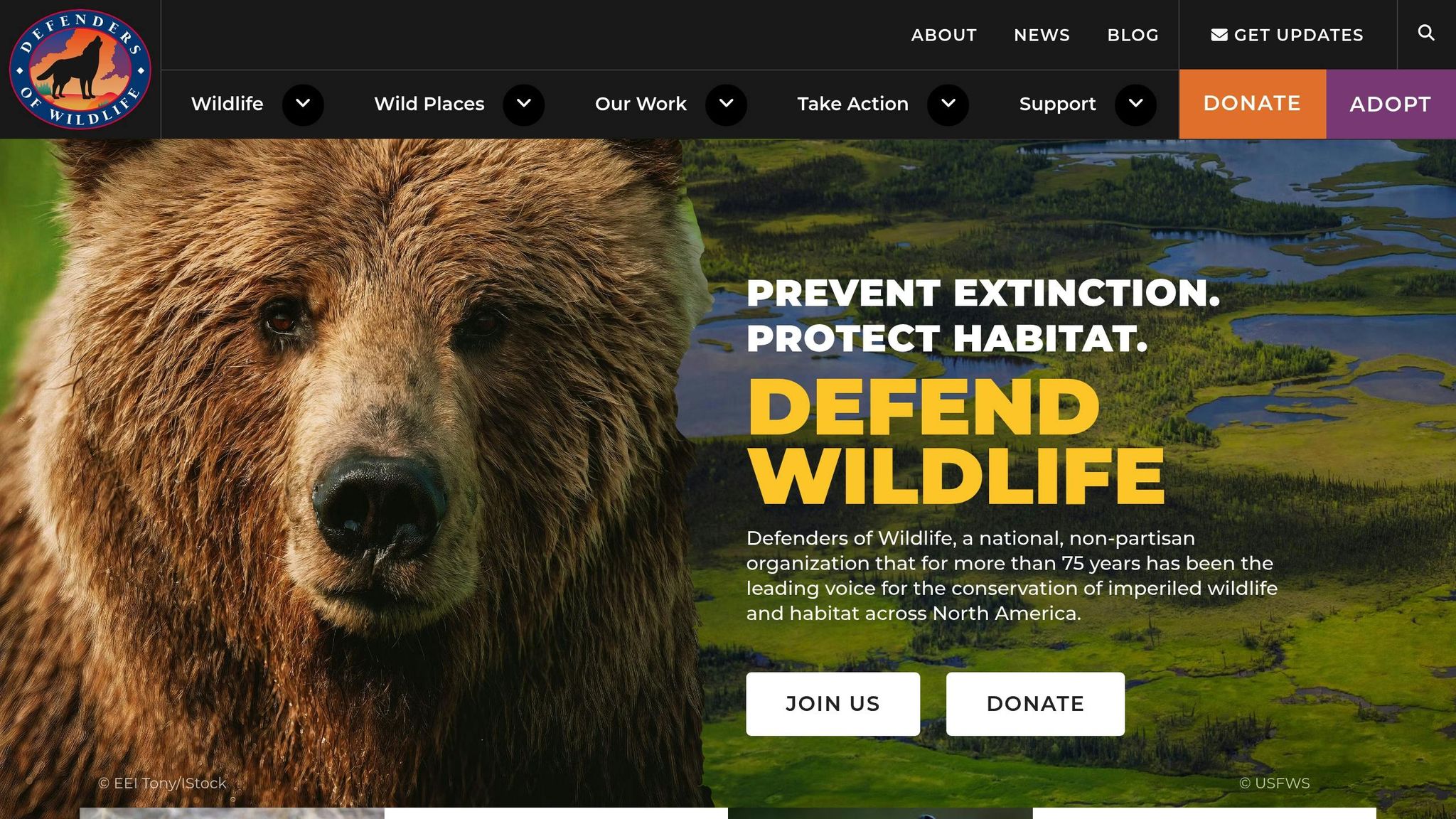 Defenders of Wildlife