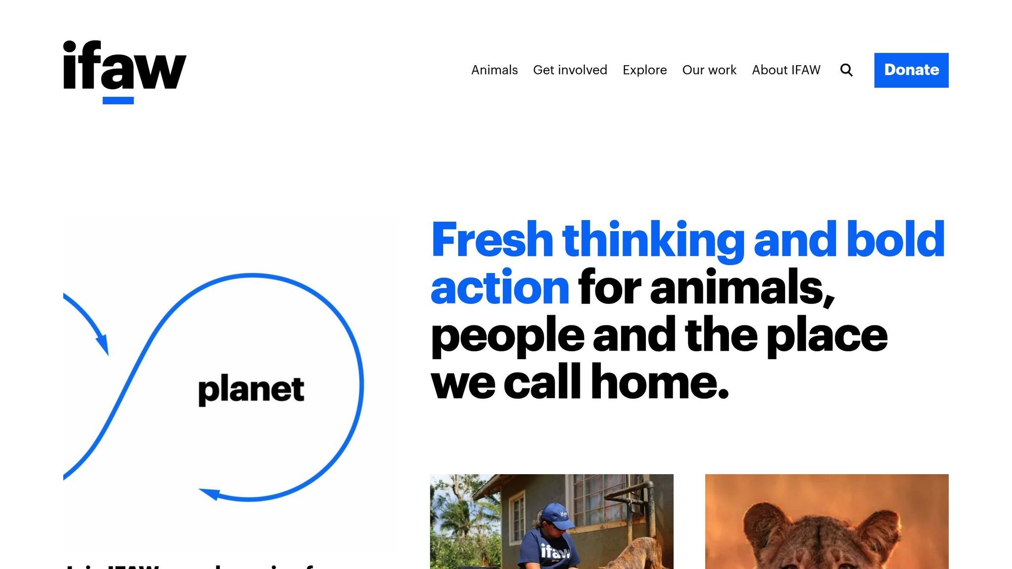 International Fund for Animal Welfare