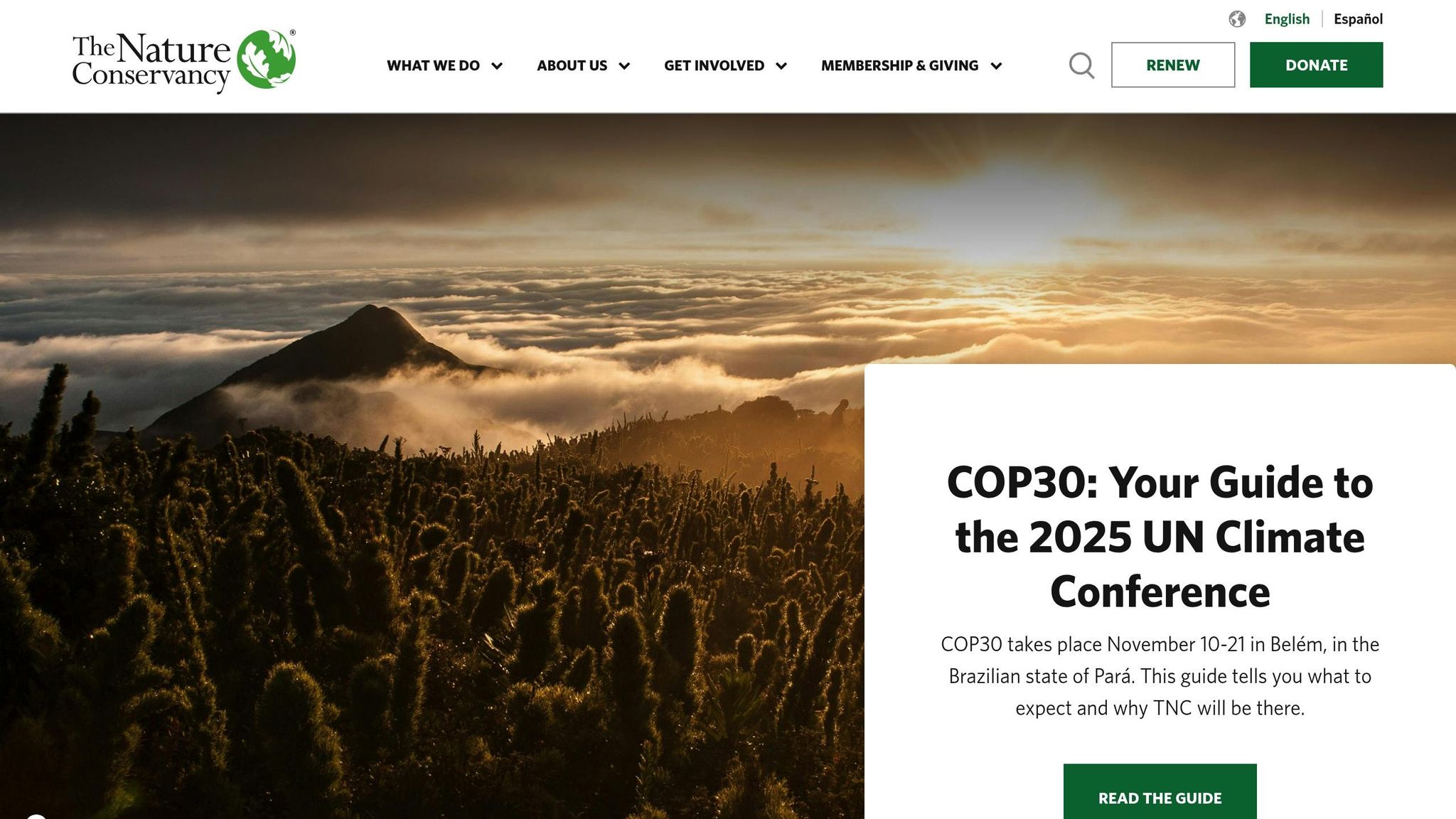 The Nature Conservancy