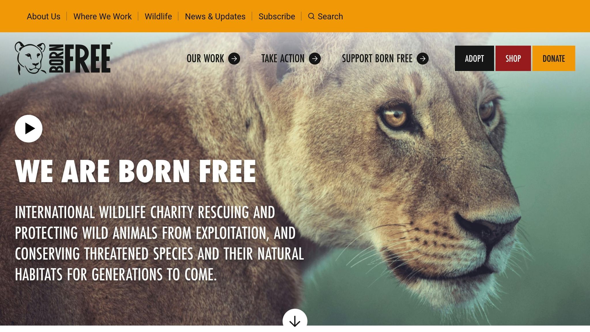 Born Free Foundation