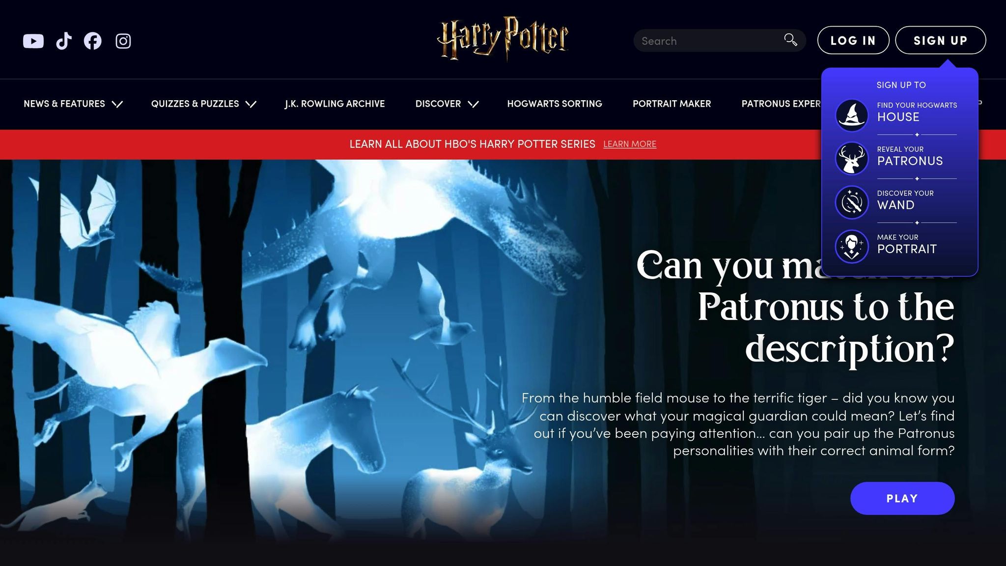 Harry Potter