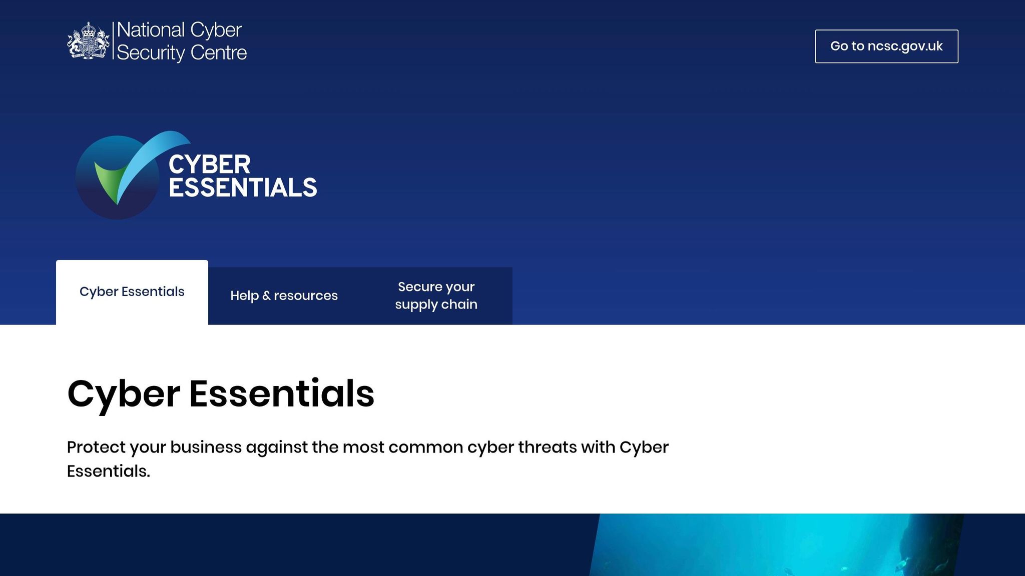 Cyber Essentials Plus