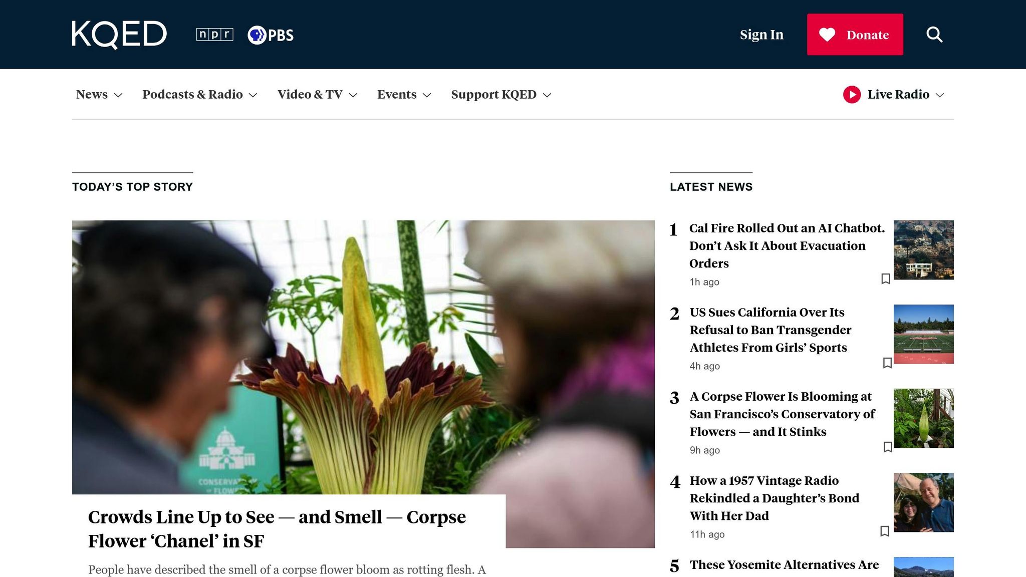 KQED