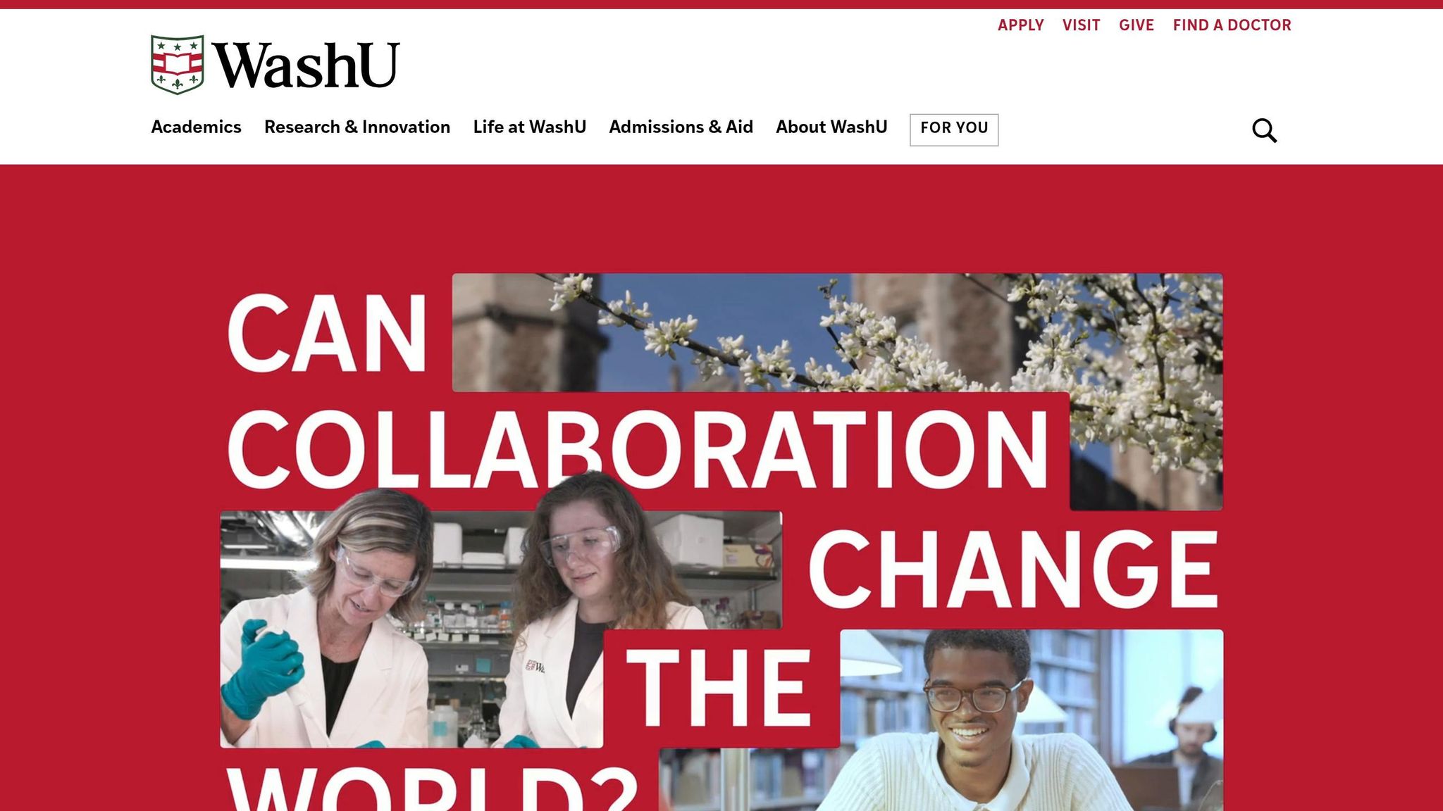 Washington University in St. Louis