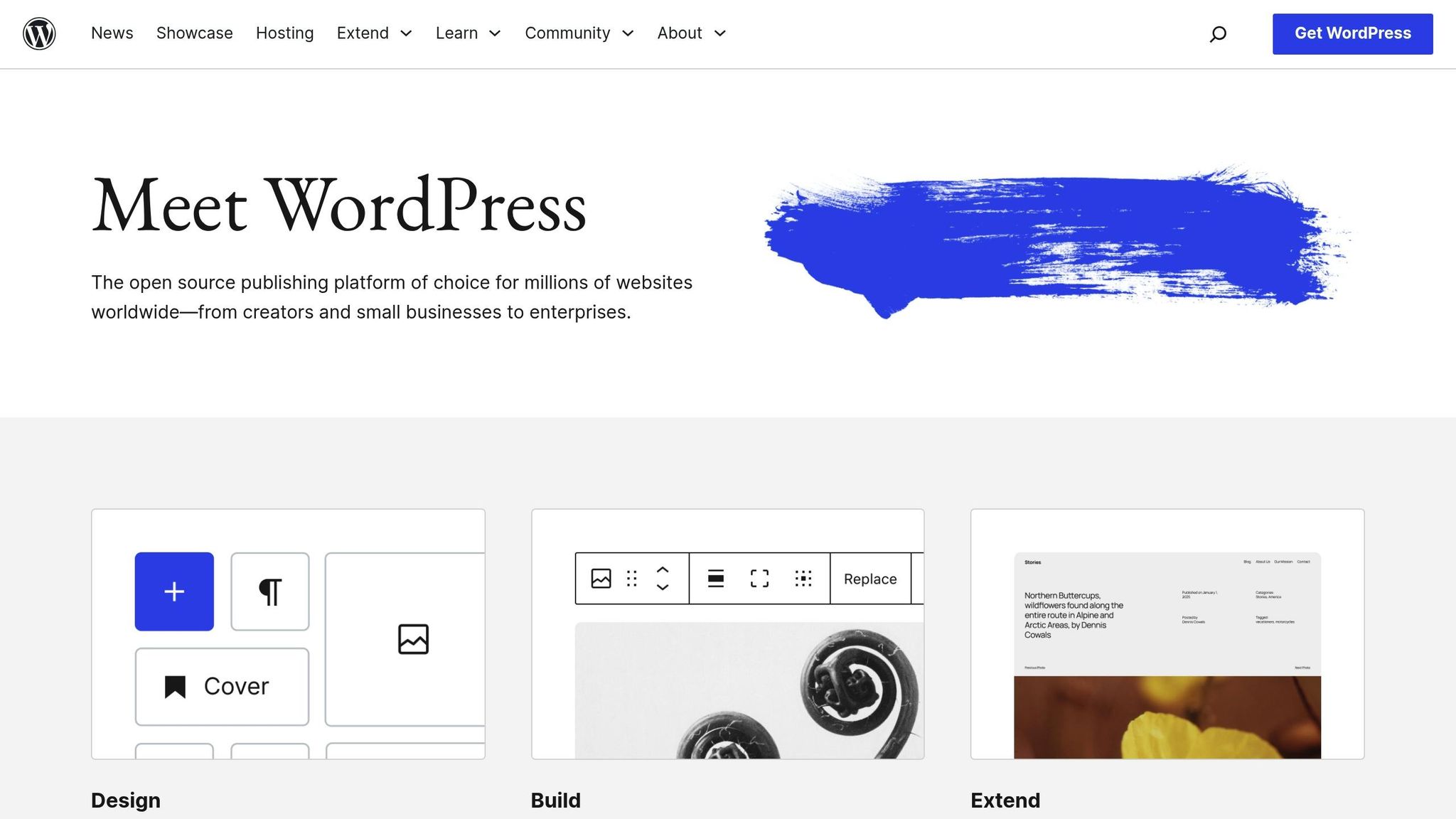 Wordpress