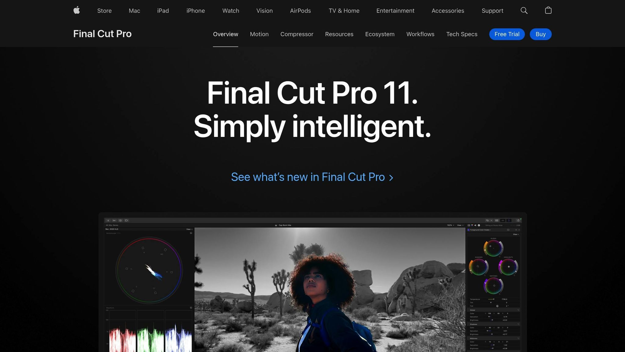 Final Cut Pro
