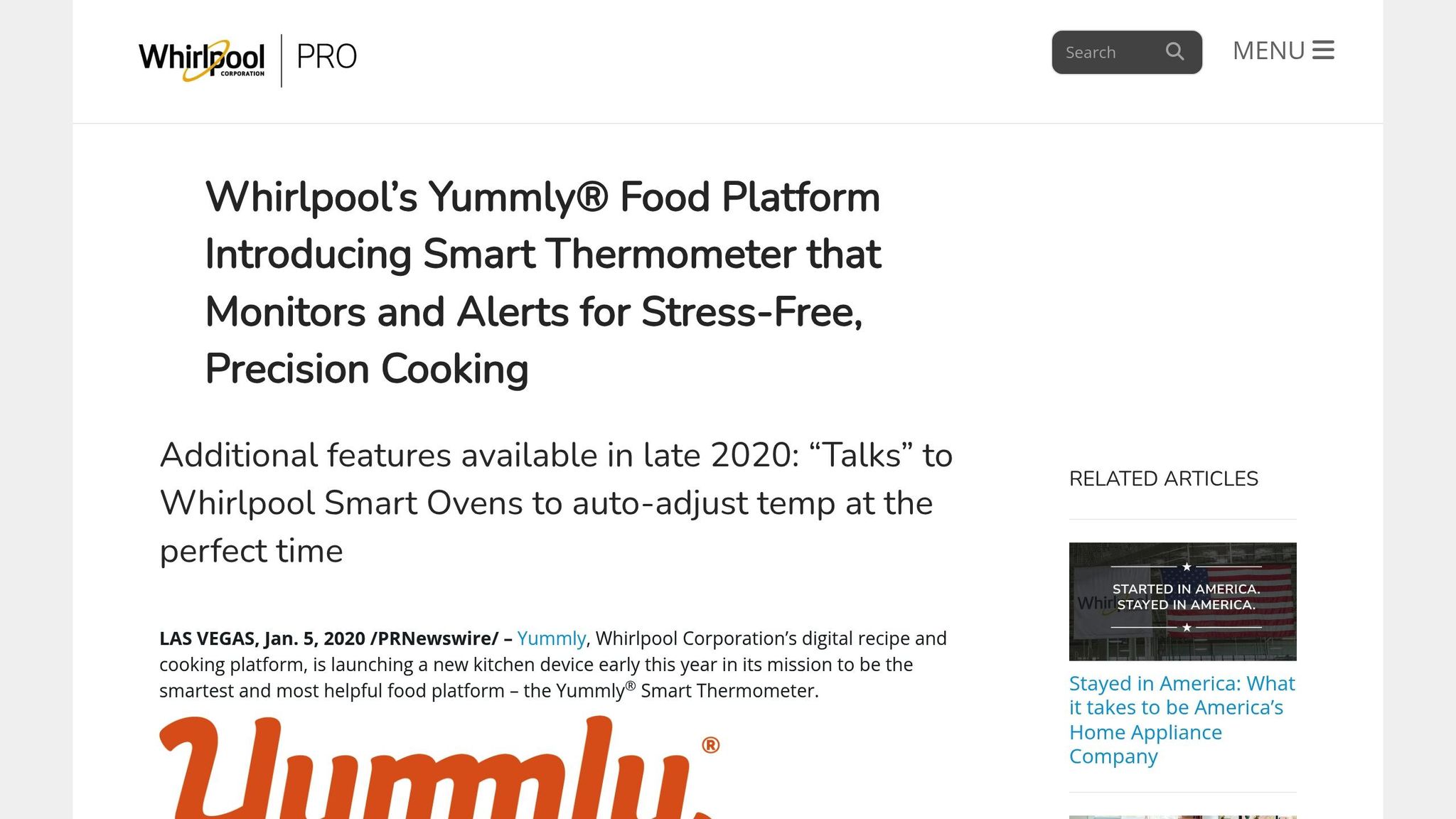 Yummly Smart Thermometer