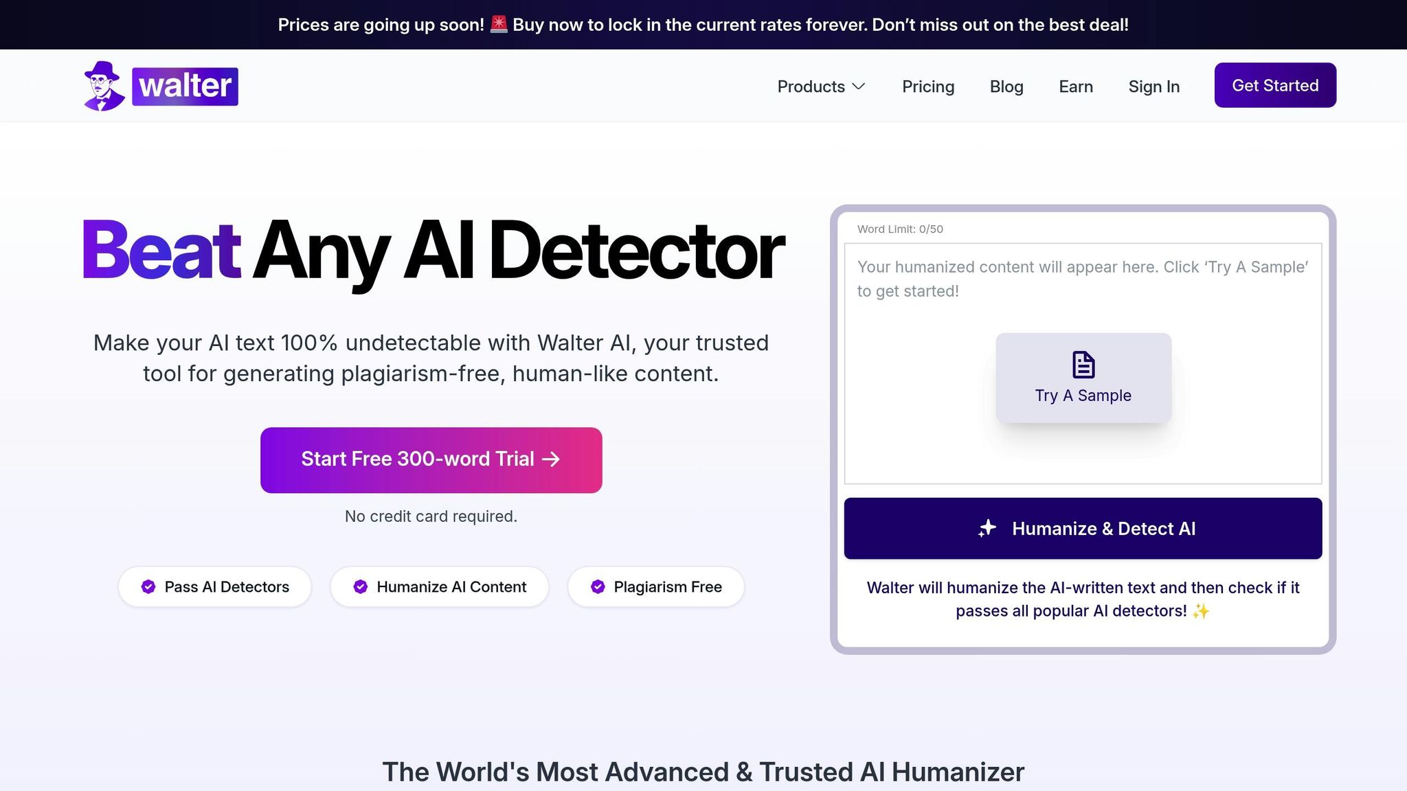 WaltersWrites AI