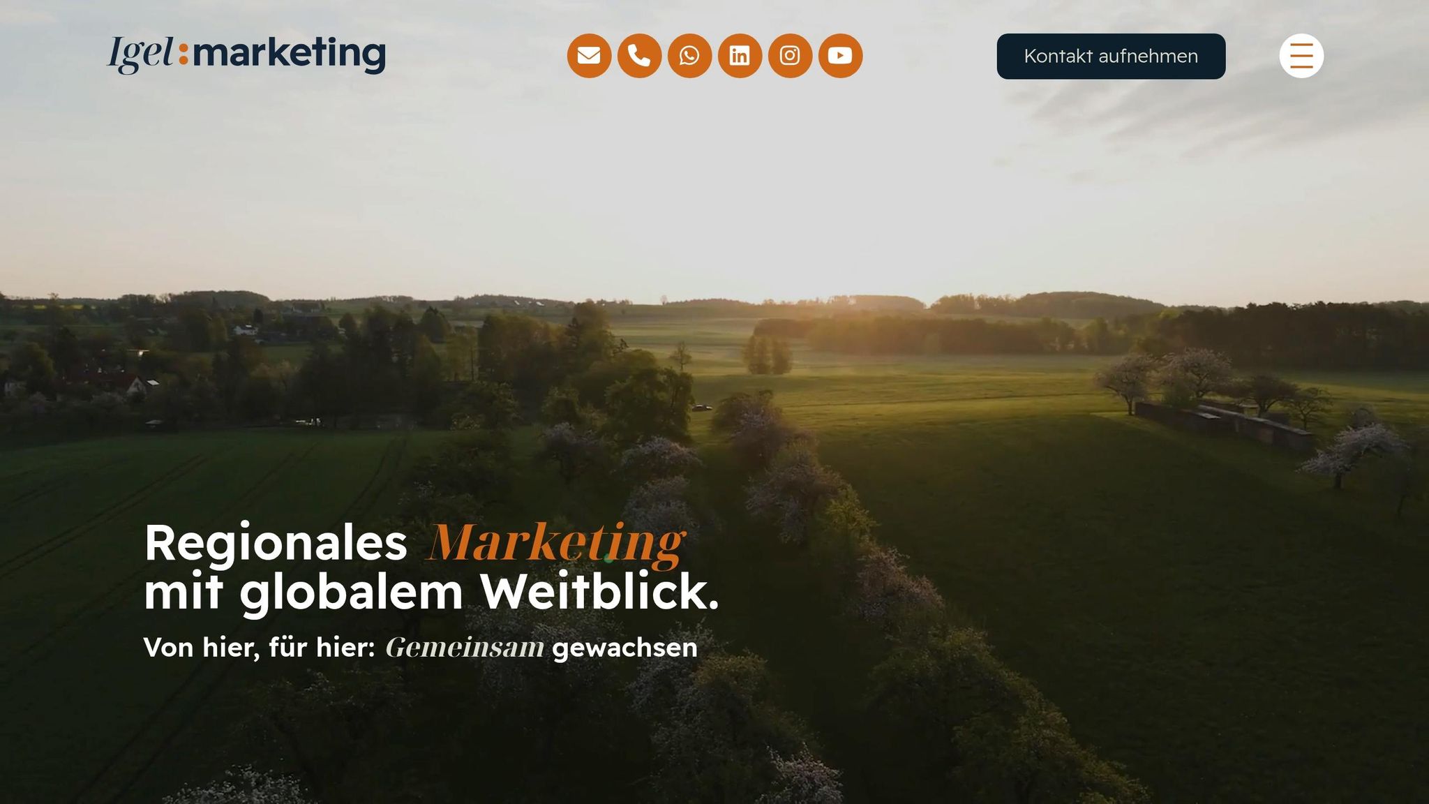 Igel:marketing